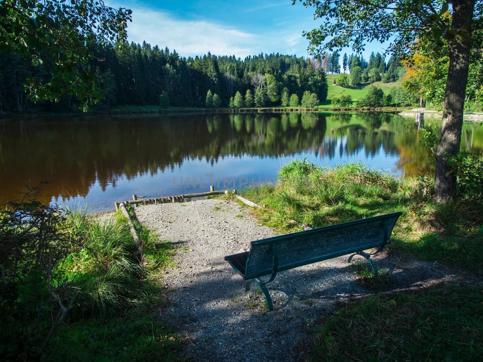 Idyllic landscape view at a small pond with a bench in summer in the Bavarian Allgäu.