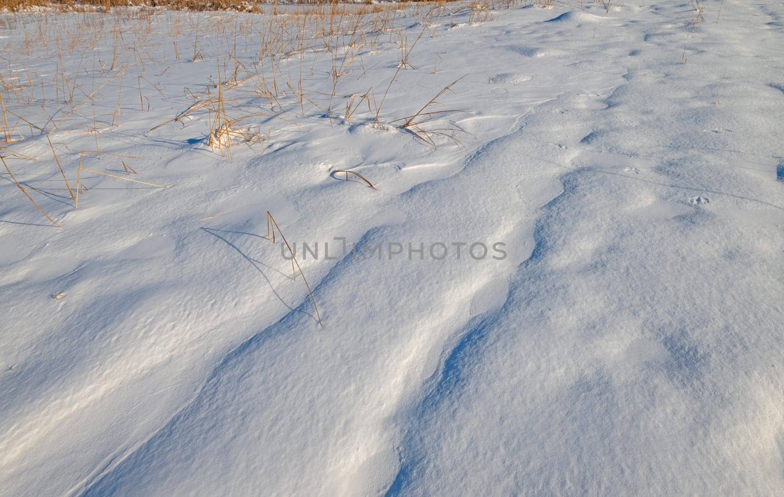 Refrozen Tracks on a Winter Trail in the Paul Douglas Preserve in Illinois