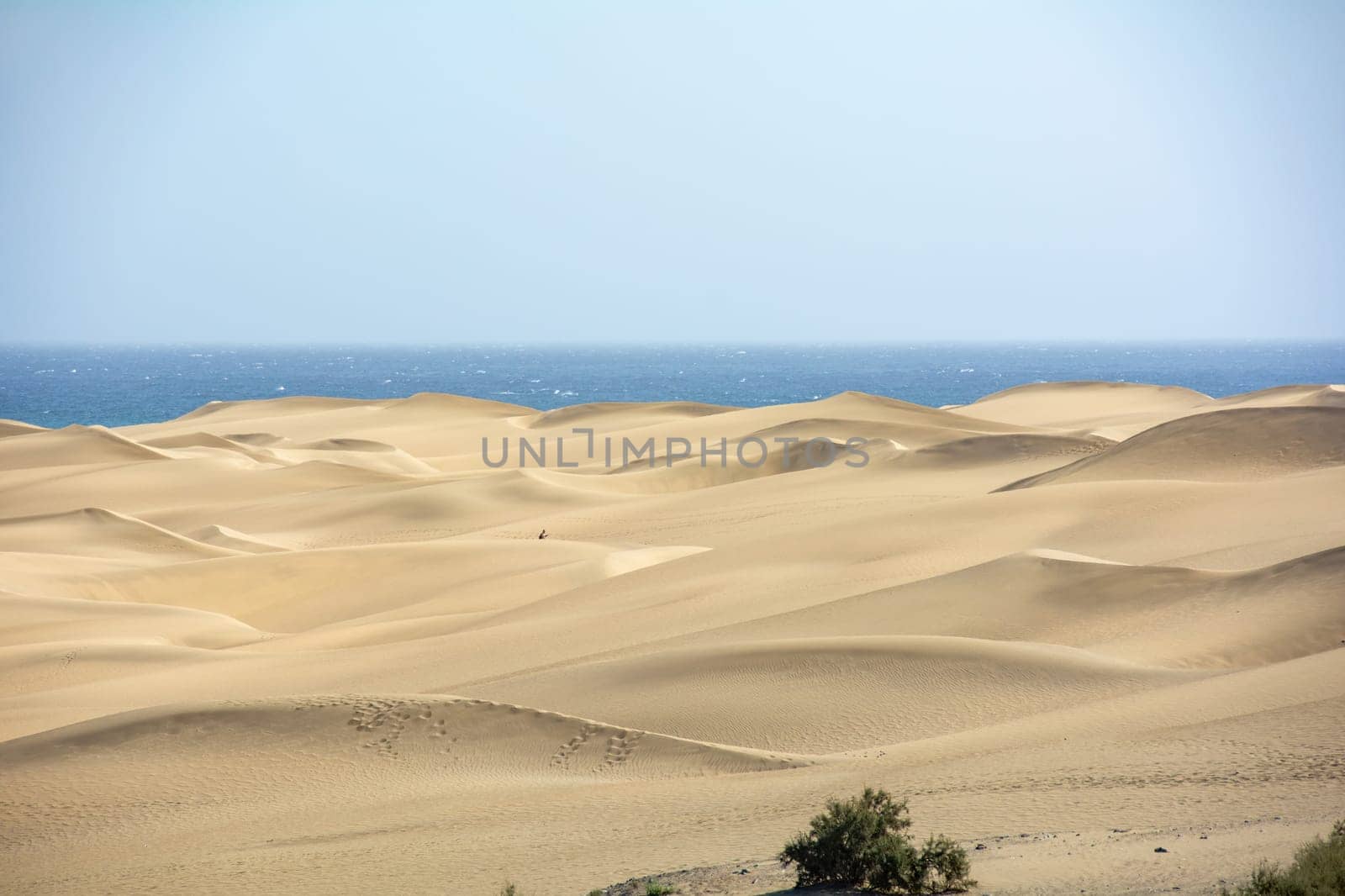 The dunes of Maspalomas on Gran Canaria in Spain, with sea and blue sky. The huge sand dunes resemble a small desert and are a nature reserve.,The dunes of Maspalomas on Gran Canaria in Spain, with sea and blue sky. The huge sand dunes resemble a small desert and are a nature reserve.