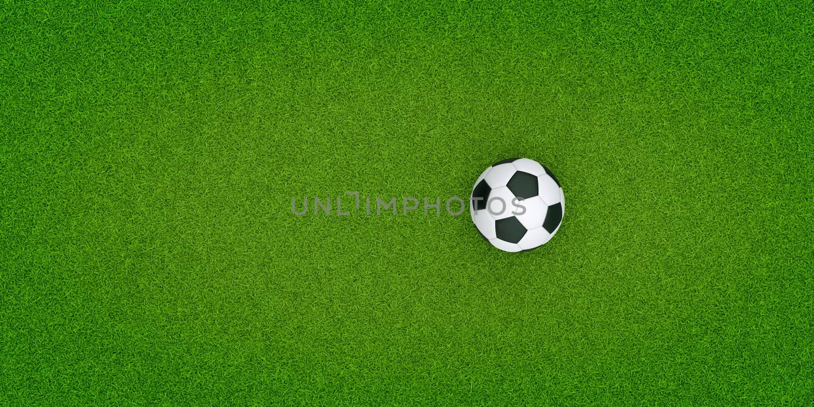 Top view. soccer ball on the grass