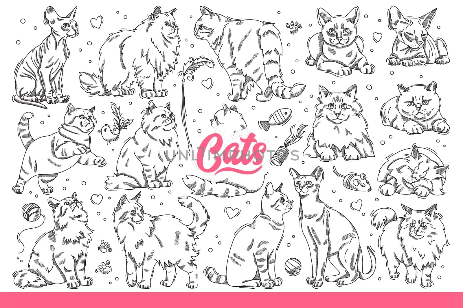 Domestic cats of different breeds in different poses, resting or hunting for toys. Fluffy and hairless cats for advertising zoo store with products for pet owners. Hand drawn doodle