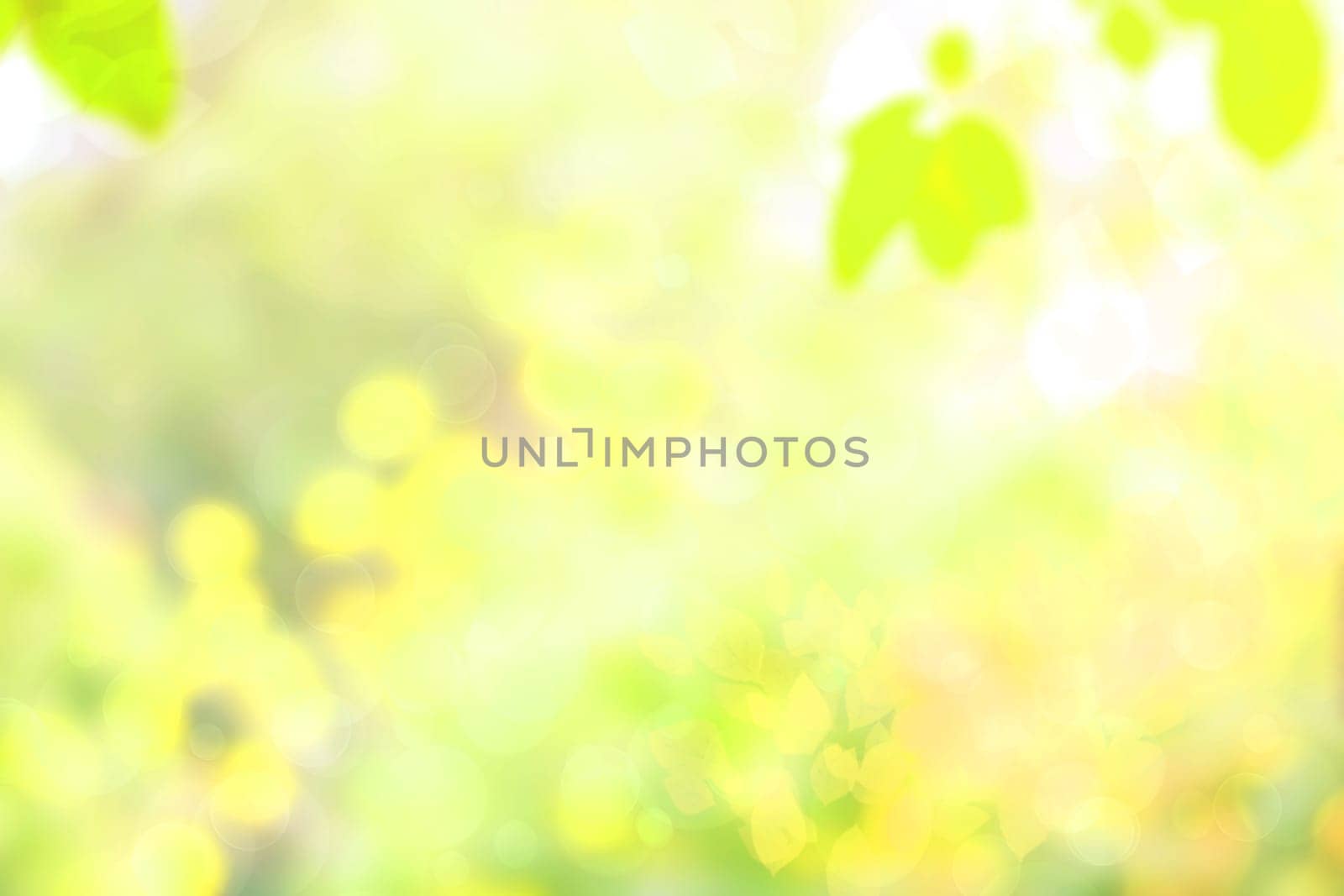 Abstract blurred fresh vivid spring summer light delicate pastel yellow green white bokeh background texture with bright circular soft color lights. Beautiful backdrop illustration.