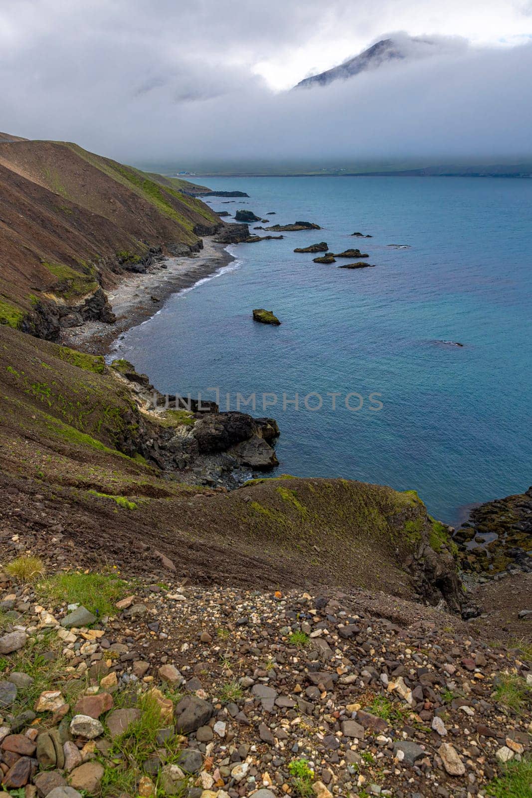 Beautiful icelandic landscape  wild coastline  ocean  mountain in  background