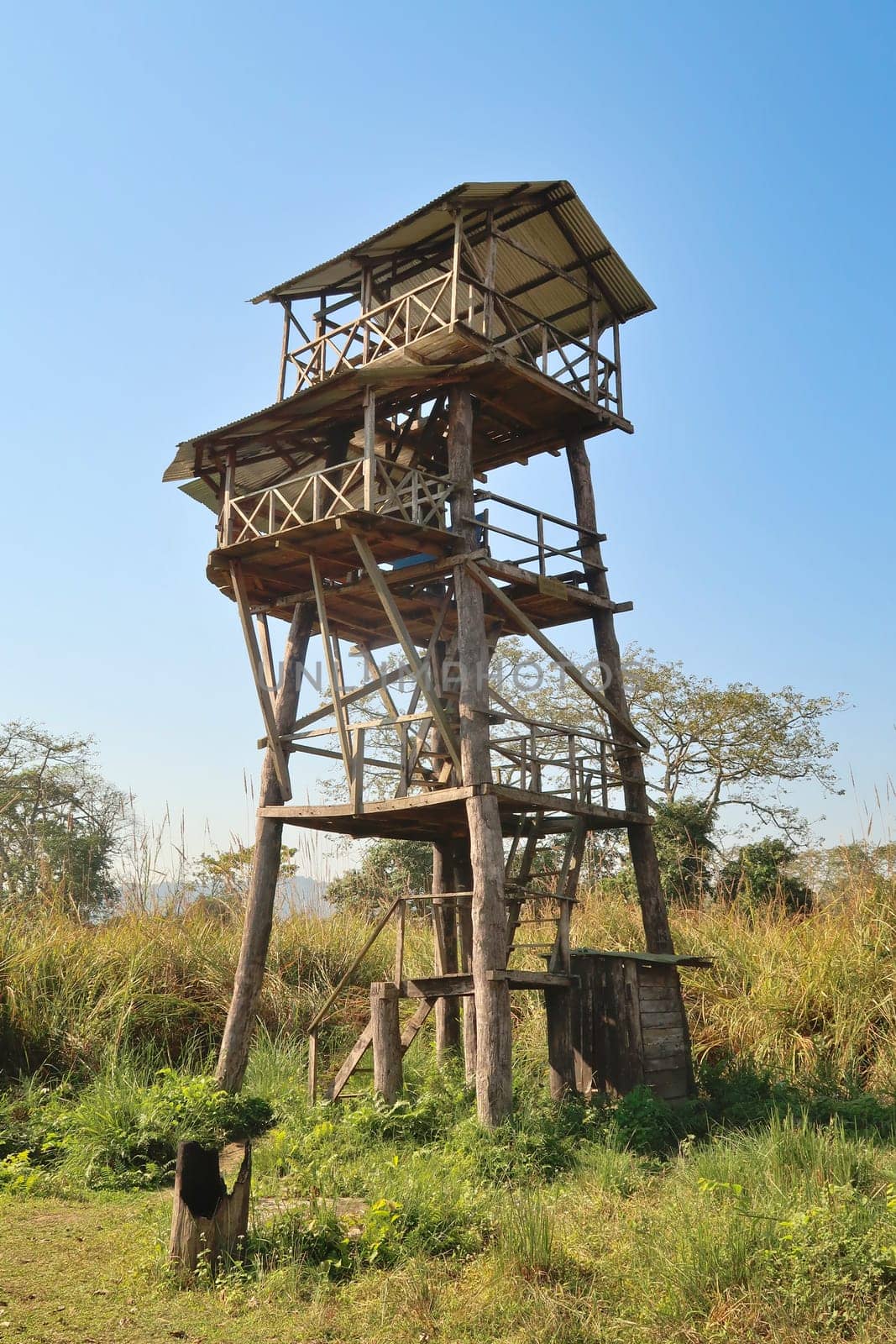 Wooden observation tower, viewing tower, lookout tower, observation deck, observation platform, viewing platform in the grassland, savanna of the Chitwan National Park, Nepal 2022