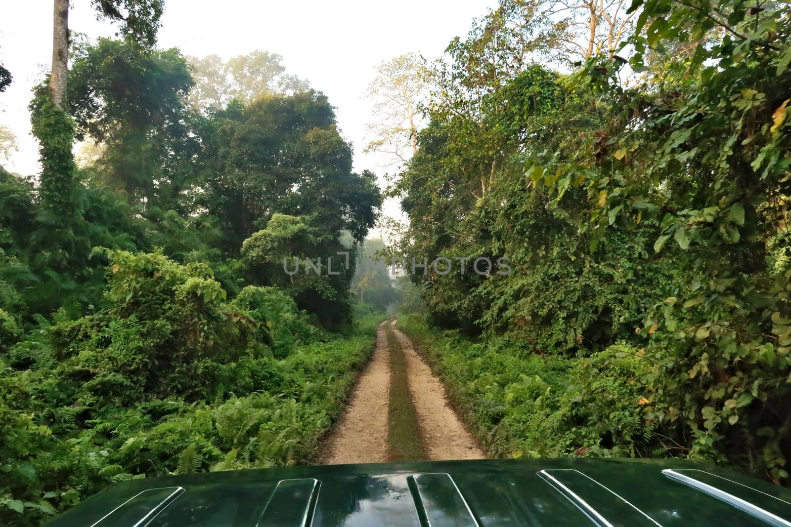 Driving through the forest on a 4x4, ATV, off-road vehicle, on a safari in the Chitwan National Park, Nepal 2022