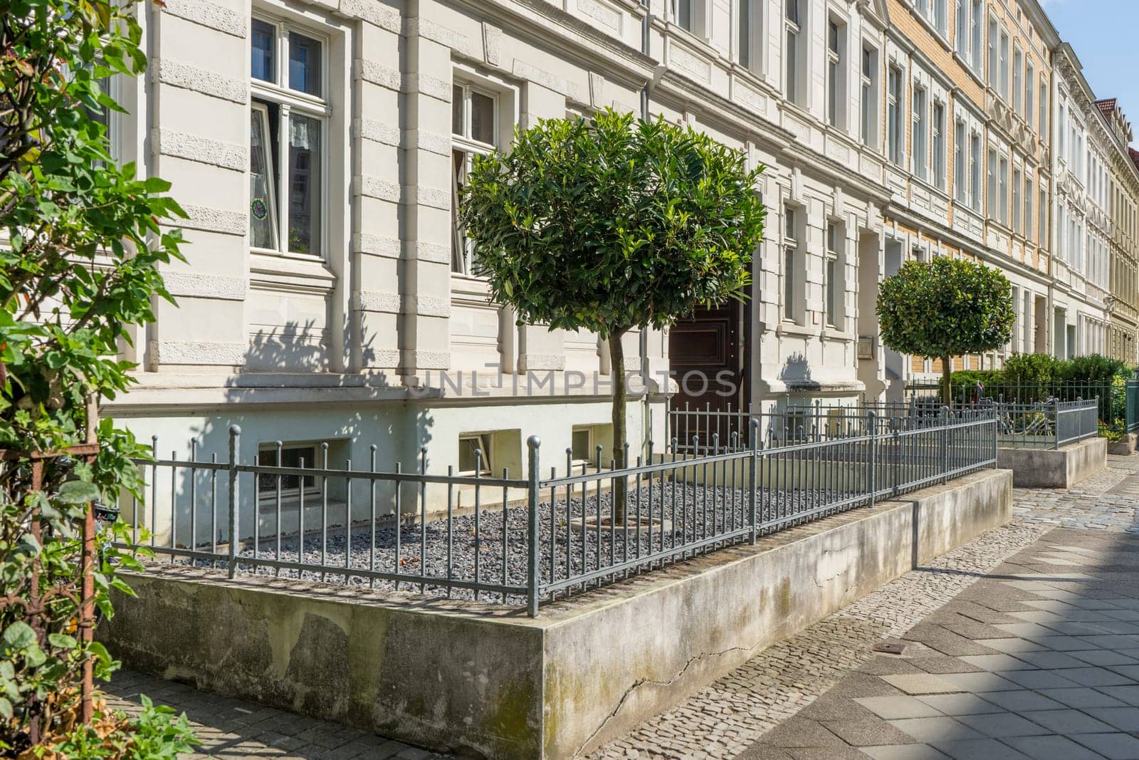 Front yard with metal fence, pebbles and cherry laurel tree in summer