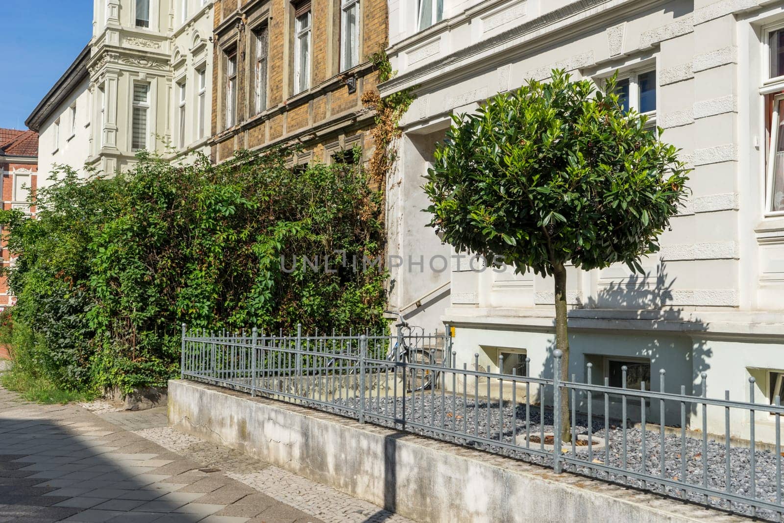 Two different front gardens with and without plants in summer