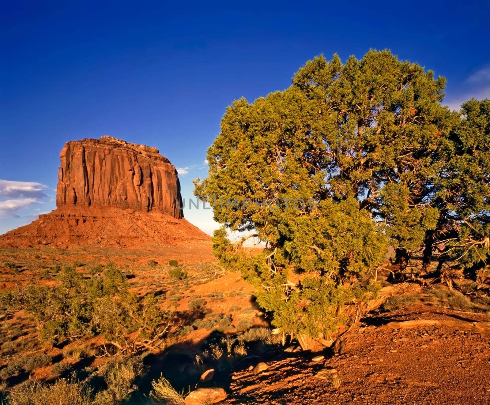 Butte in Monument Valley, Arizona