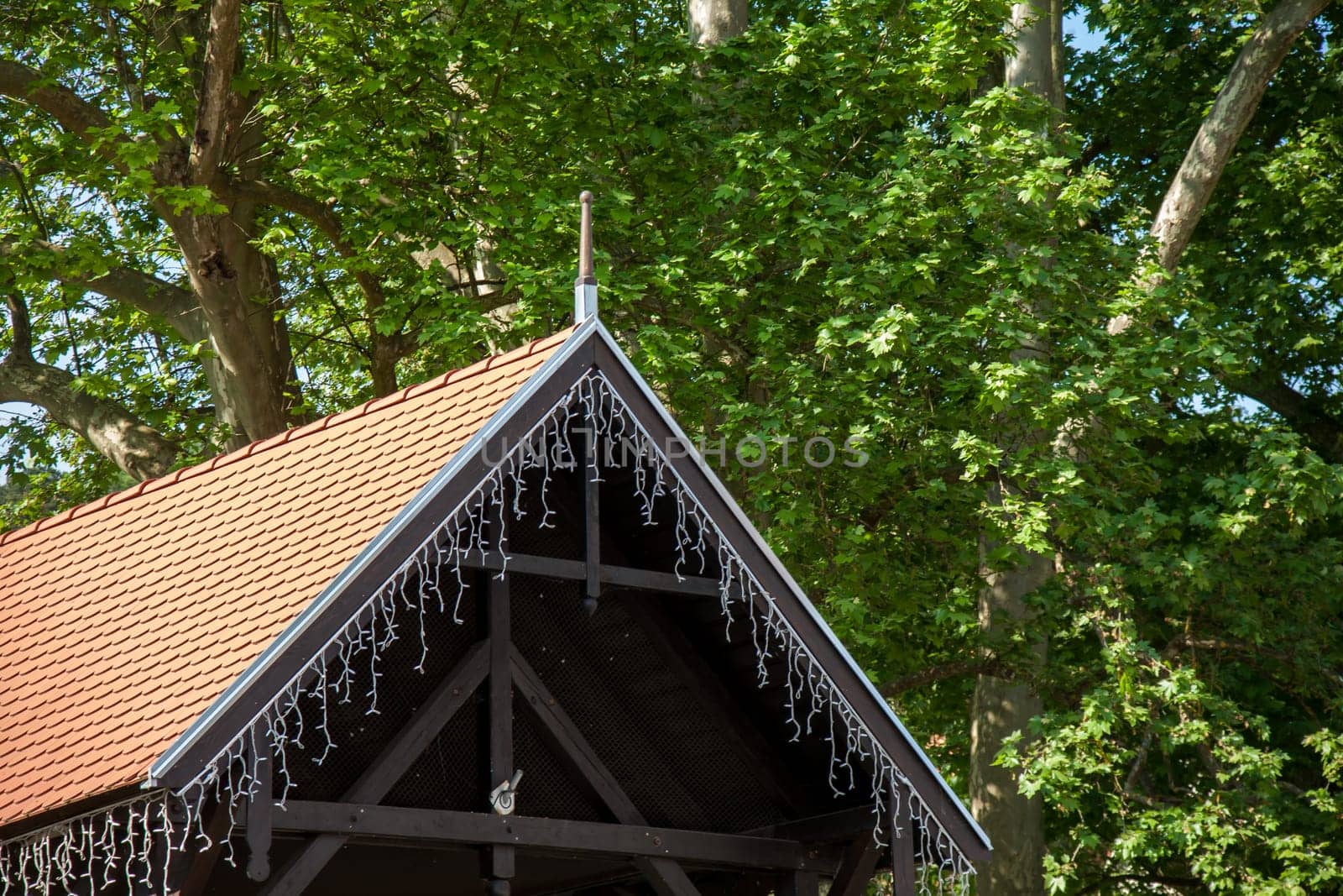 Rustic wooden structure with a terracotta-tiled roof, adorned with string lights, surrounded by lush green trees.