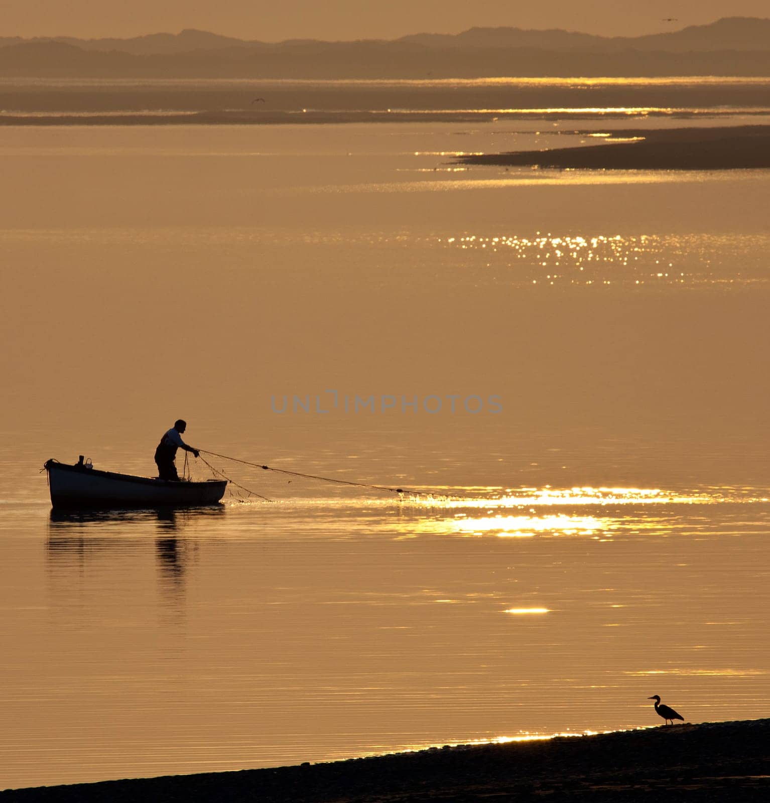 A fisherman hauling in his nets at sunset on the coast near Caernarfon in Gwynedd in Wales.