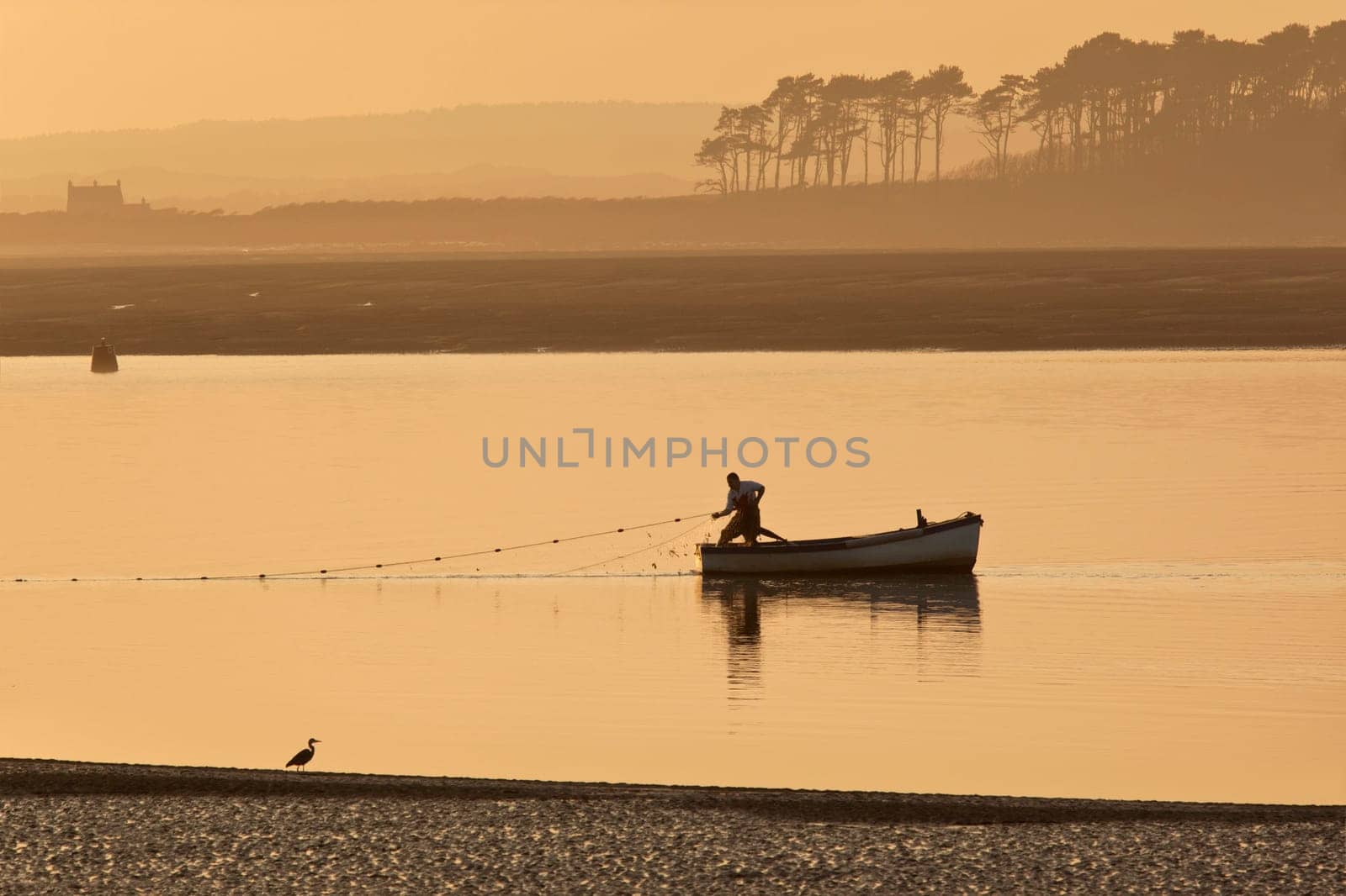 A fisherman hauling in his nets at sunset on the coast near Caernarfon in Gwynedd in Wales.