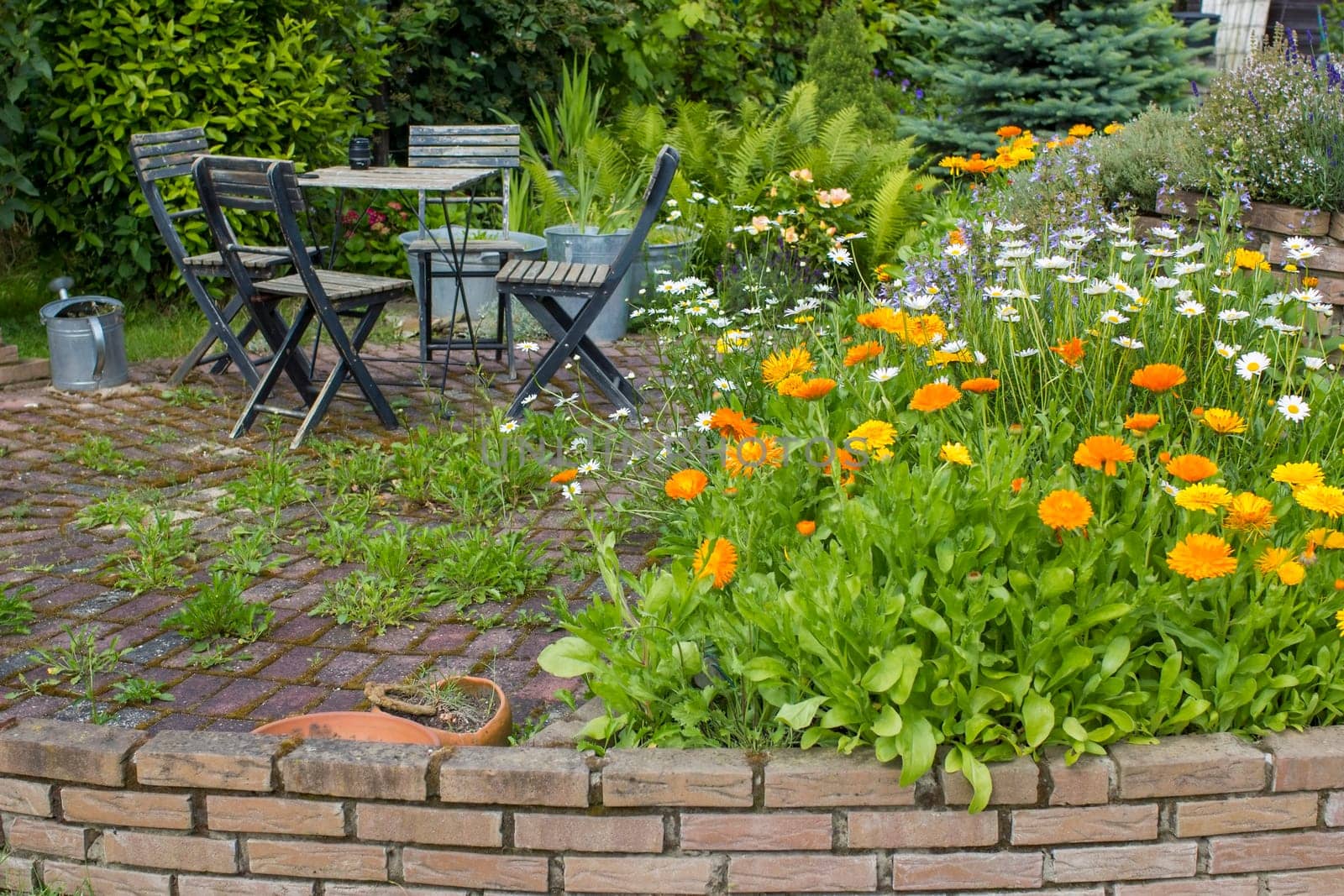 herb spiral in the garden with fresh herbs and flowers