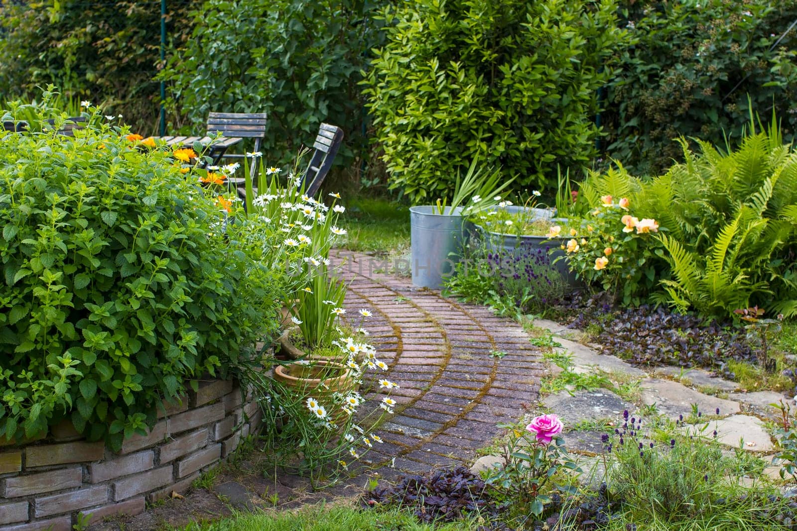 herb spiral in the garden with fresh herbs and flowers