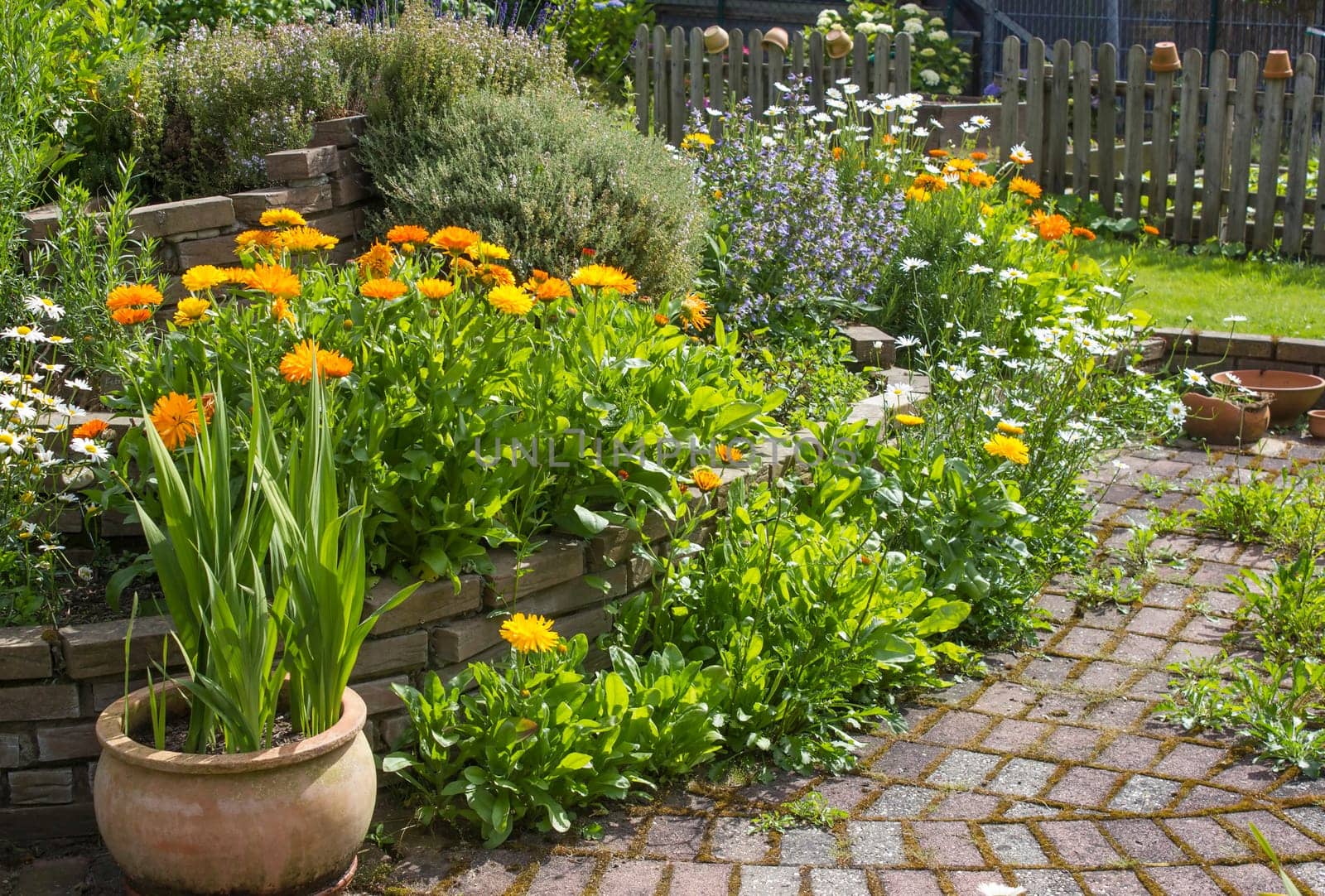 herb spiral in the garden with fresh herbs and flowers