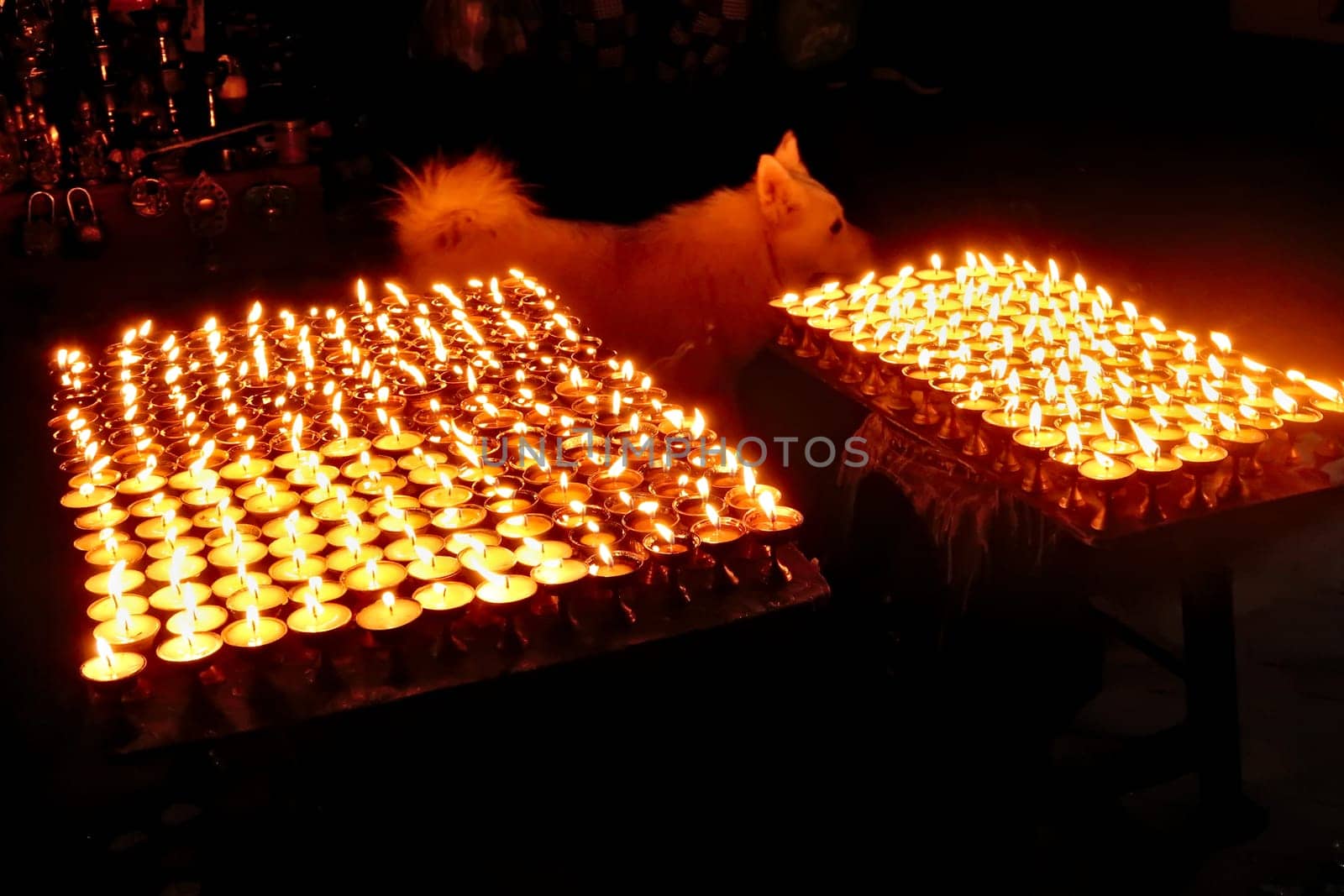 Many butter lamps, candles enlighten the night at the Boudhanath Stupa, a dog is walking in the background, Kathmandu, Nepal 2022
