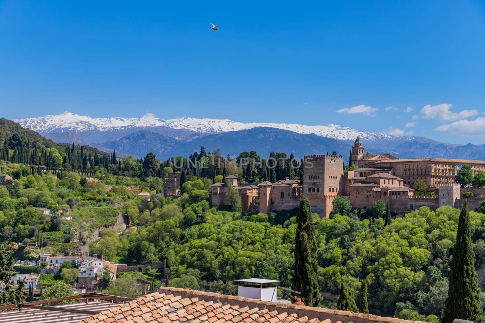Alhambra palace with the Sierra Nevada in the background, Granada, Andalusia, Spain