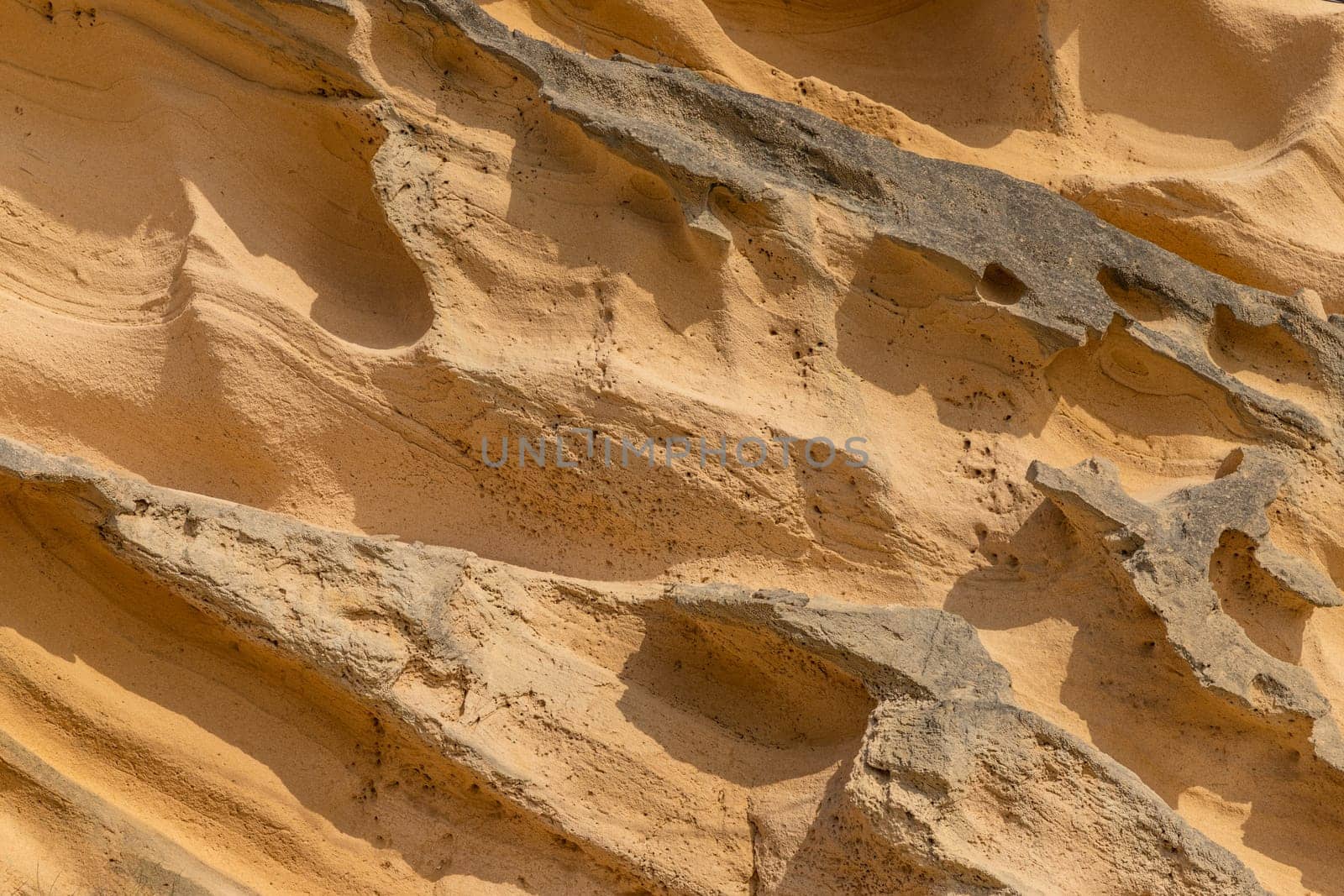 Detail in Falesia beach with beauty limestone cliff in near Albufeira, Algarve region in Portugal