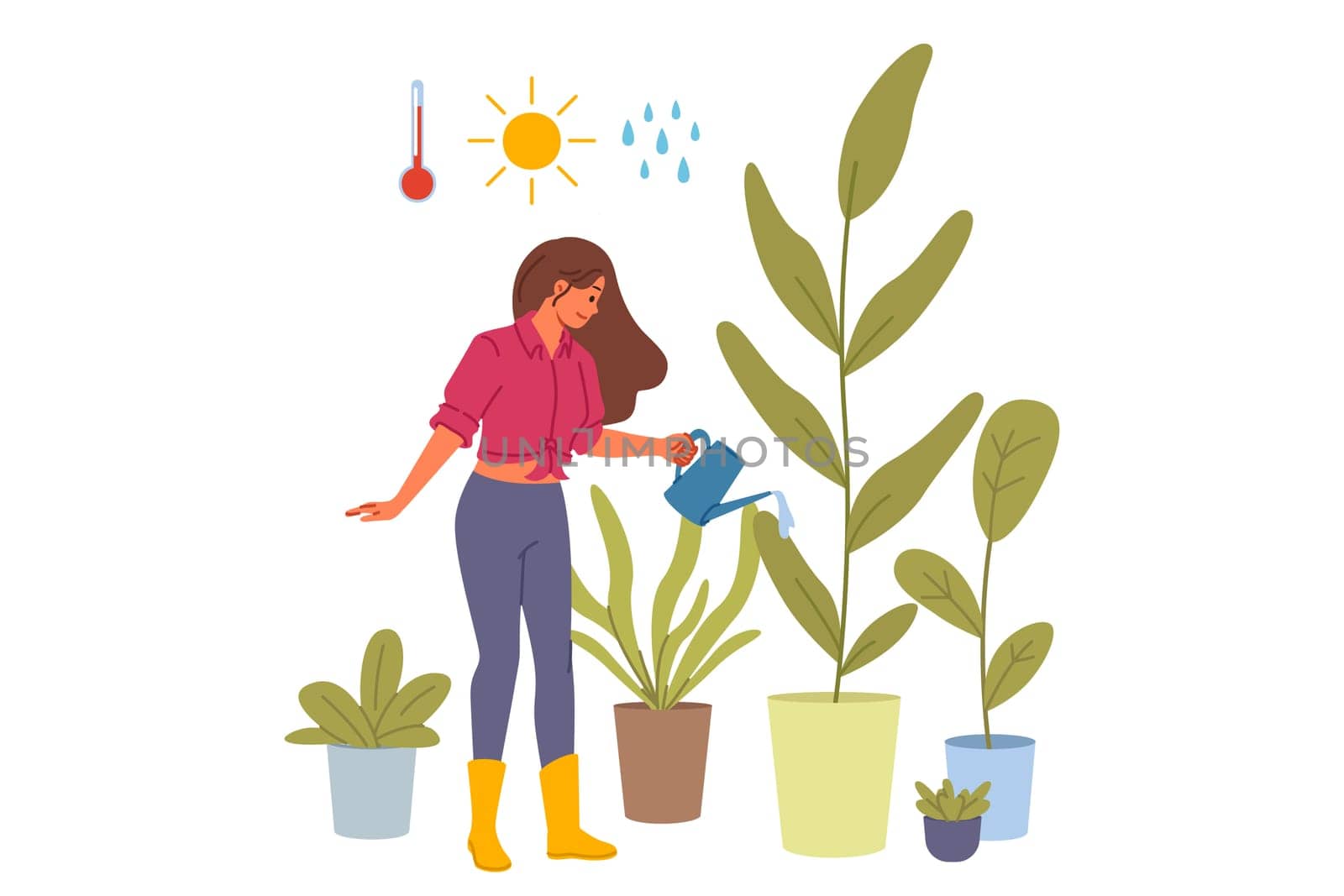 Woman florist grows houseplants in greenhouse, watering flowers with water and fertilizer. Girl from flower shop or greenhouse works as florist, enjoying growing plants to decorate interior of house.