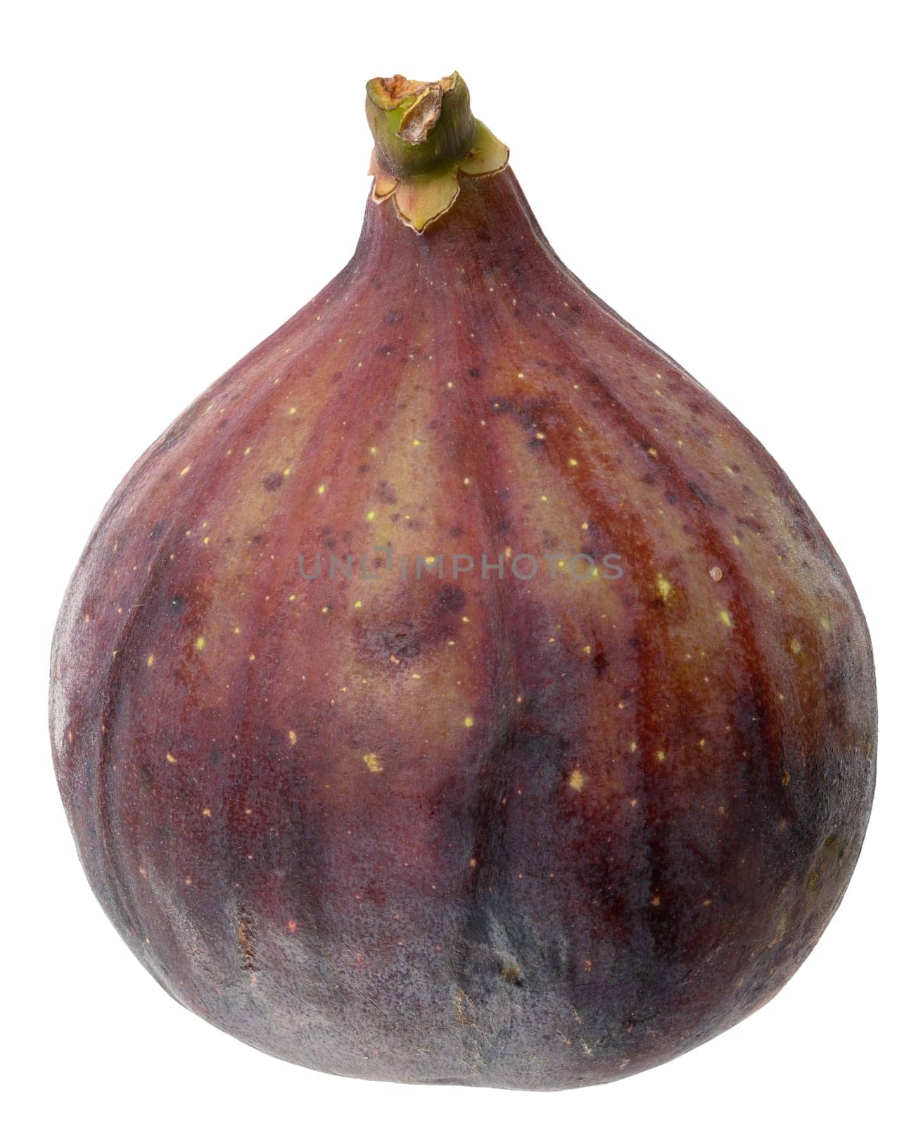 Whole ripe purple fig on isolated background, close up