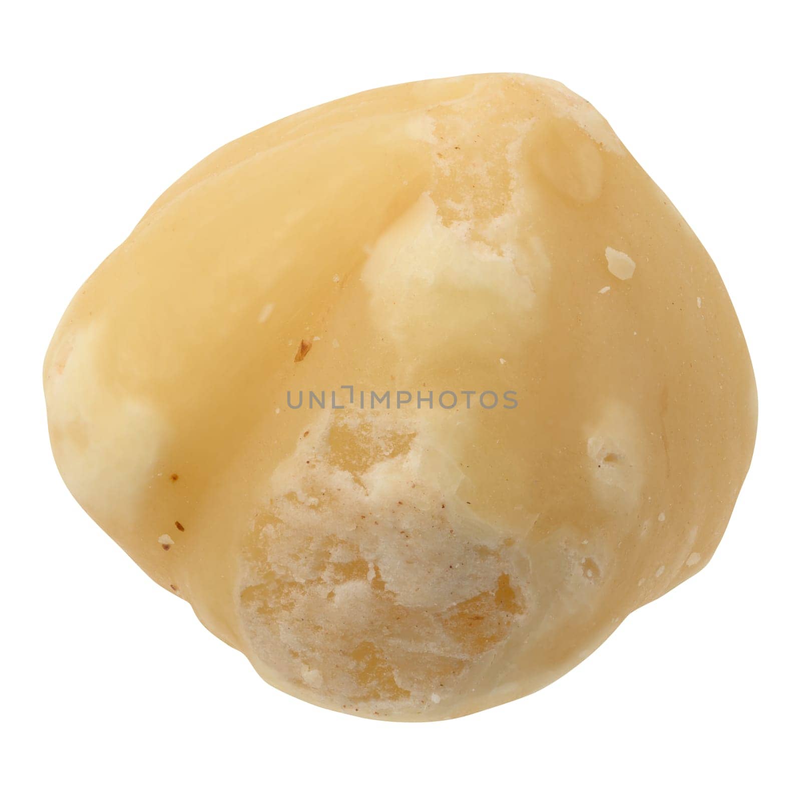 Peeled hazelnut on isolated background, close up