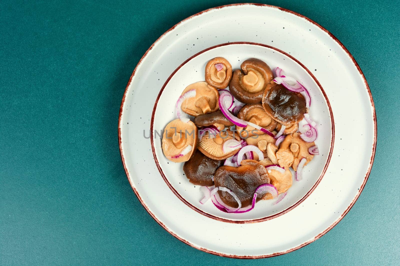 Salted mushrooms in a plate. Homemade marinated mushrooms.