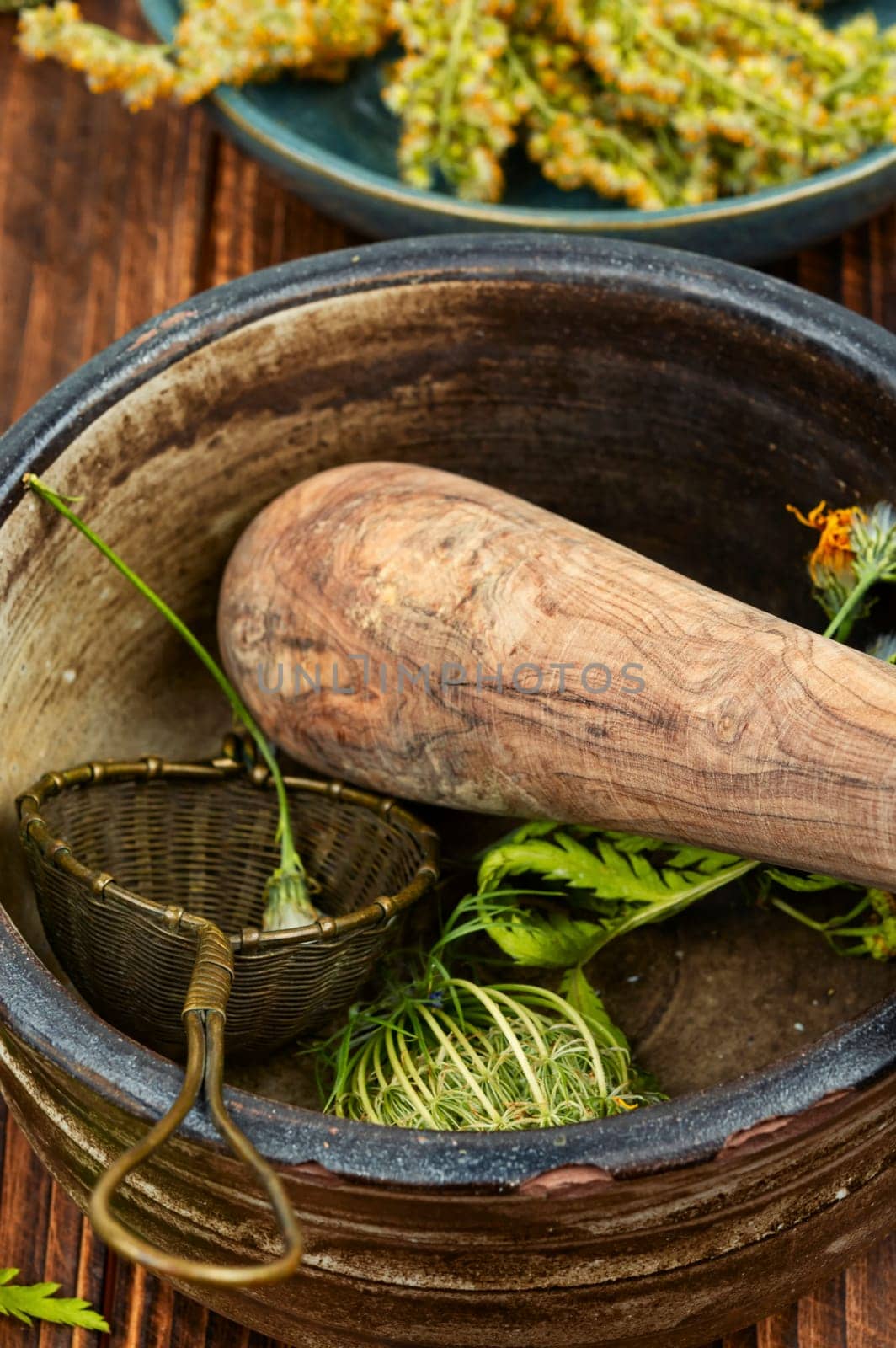 A set of medicinal and healing herbs