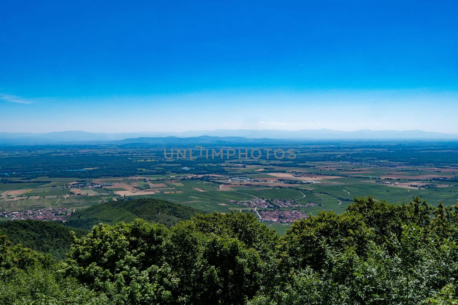 a view of Alsace plain in summertime