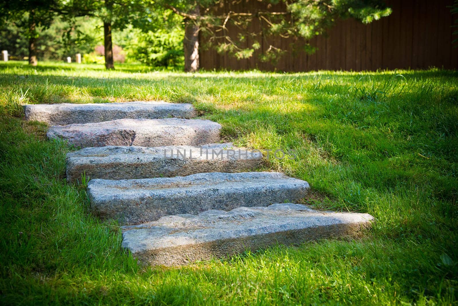 Stone steps embedded in the grass create a natural garden path under the sunlight