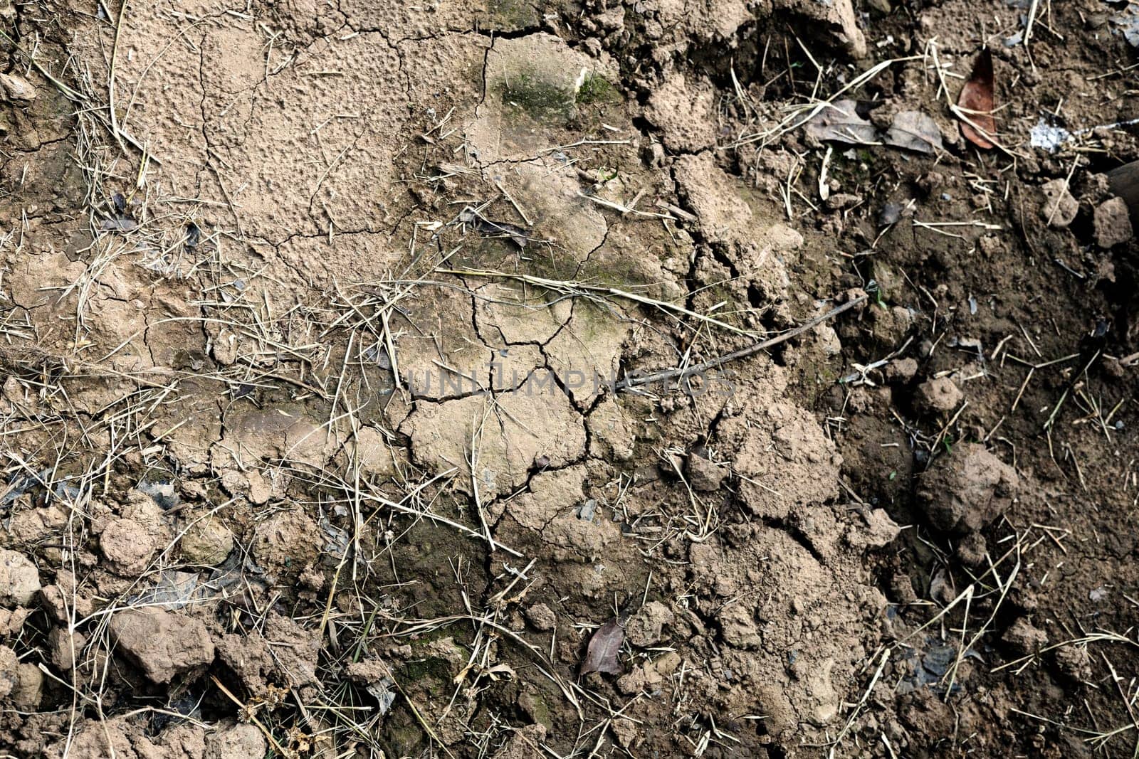 Close up of soil covered with web of cracks and splits. Cracked Earth.