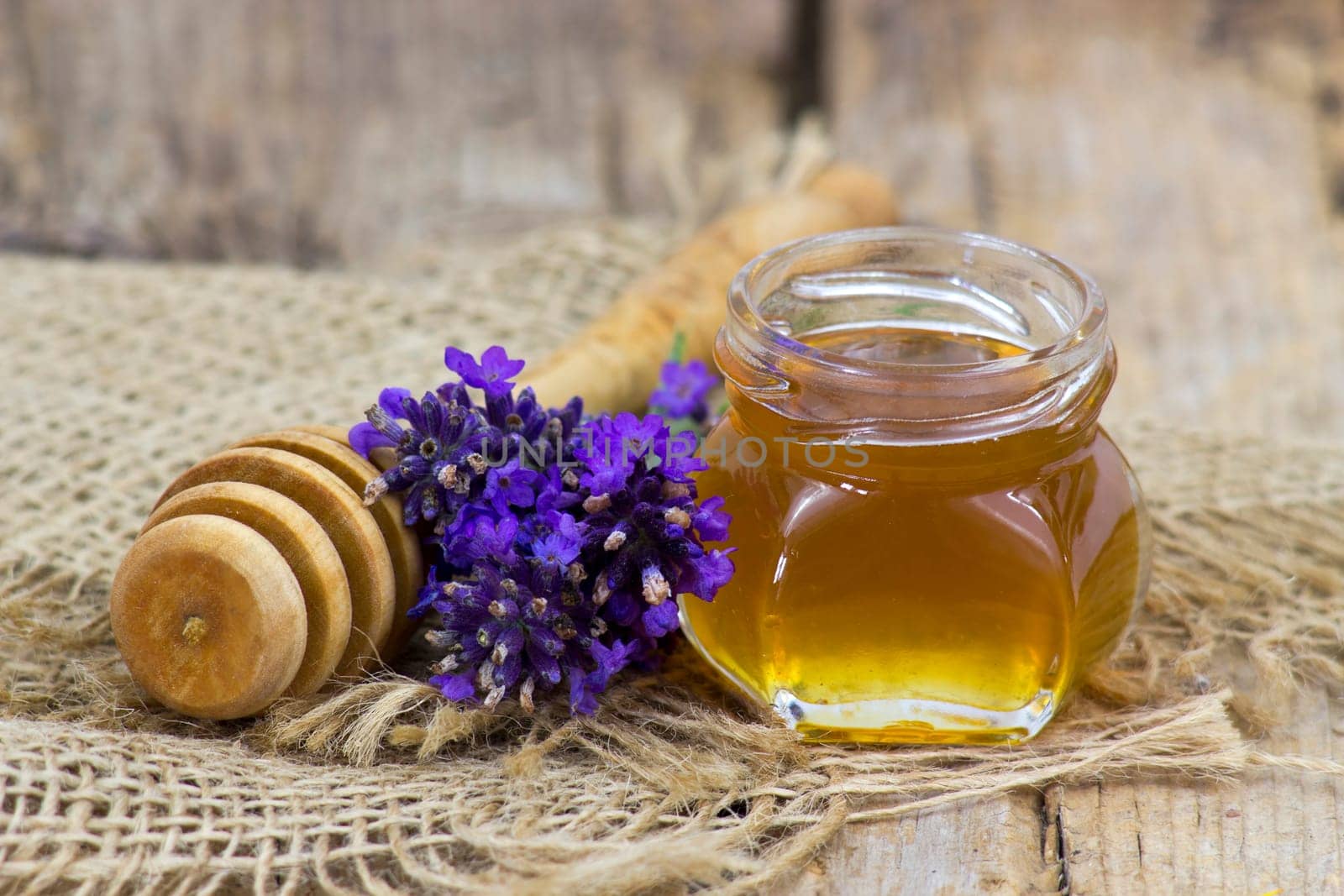 honey and lavender flowers - close up