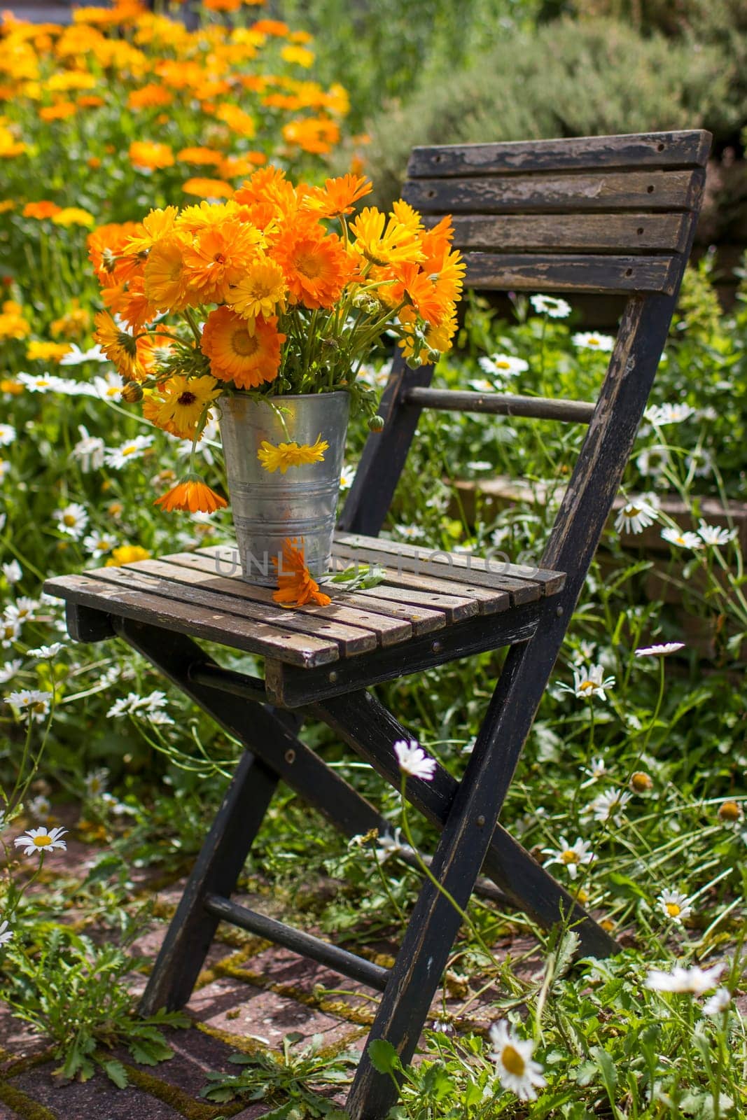 summer flowers in a bucket on the chair in the garden