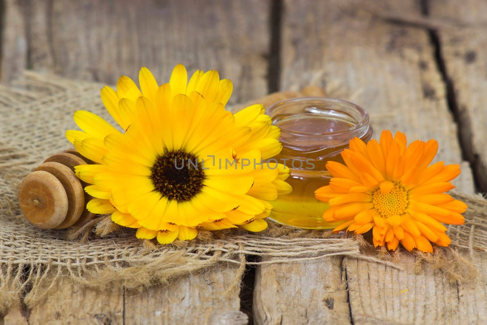 honey and calendula flower on wooden background