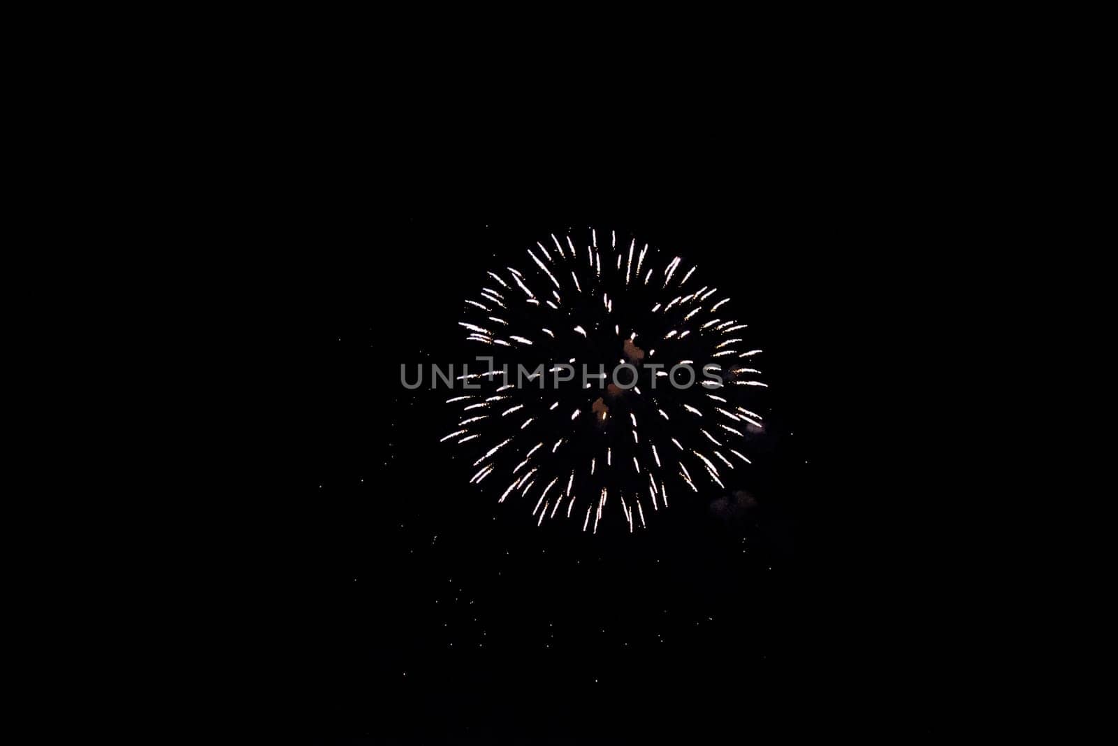 A colorful fireworks in the black night sky
