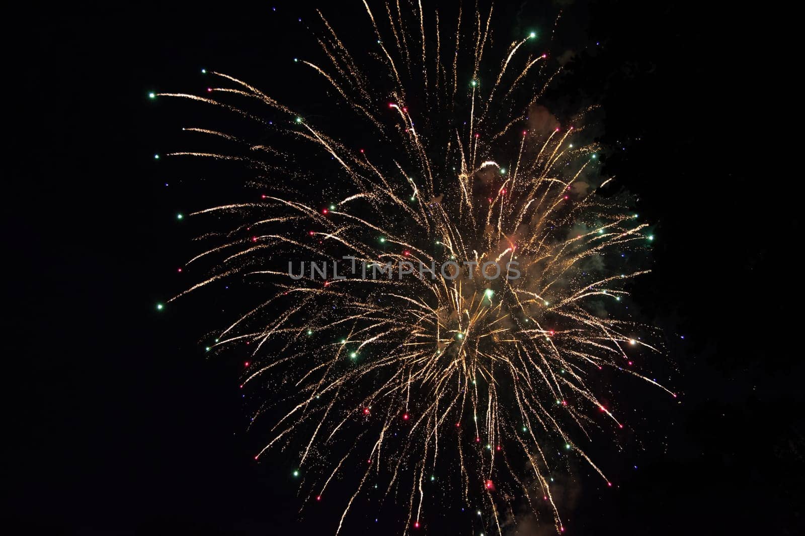 A colorful fireworks in the black night sky