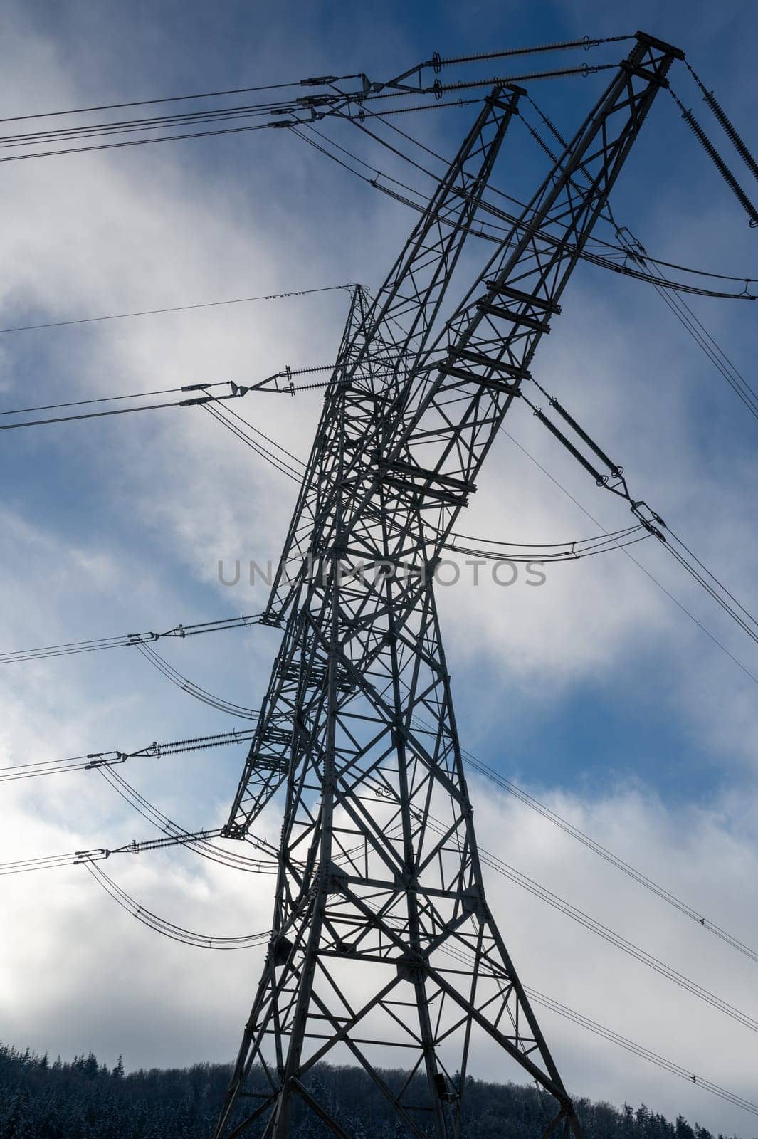 Power pole with trees and sky