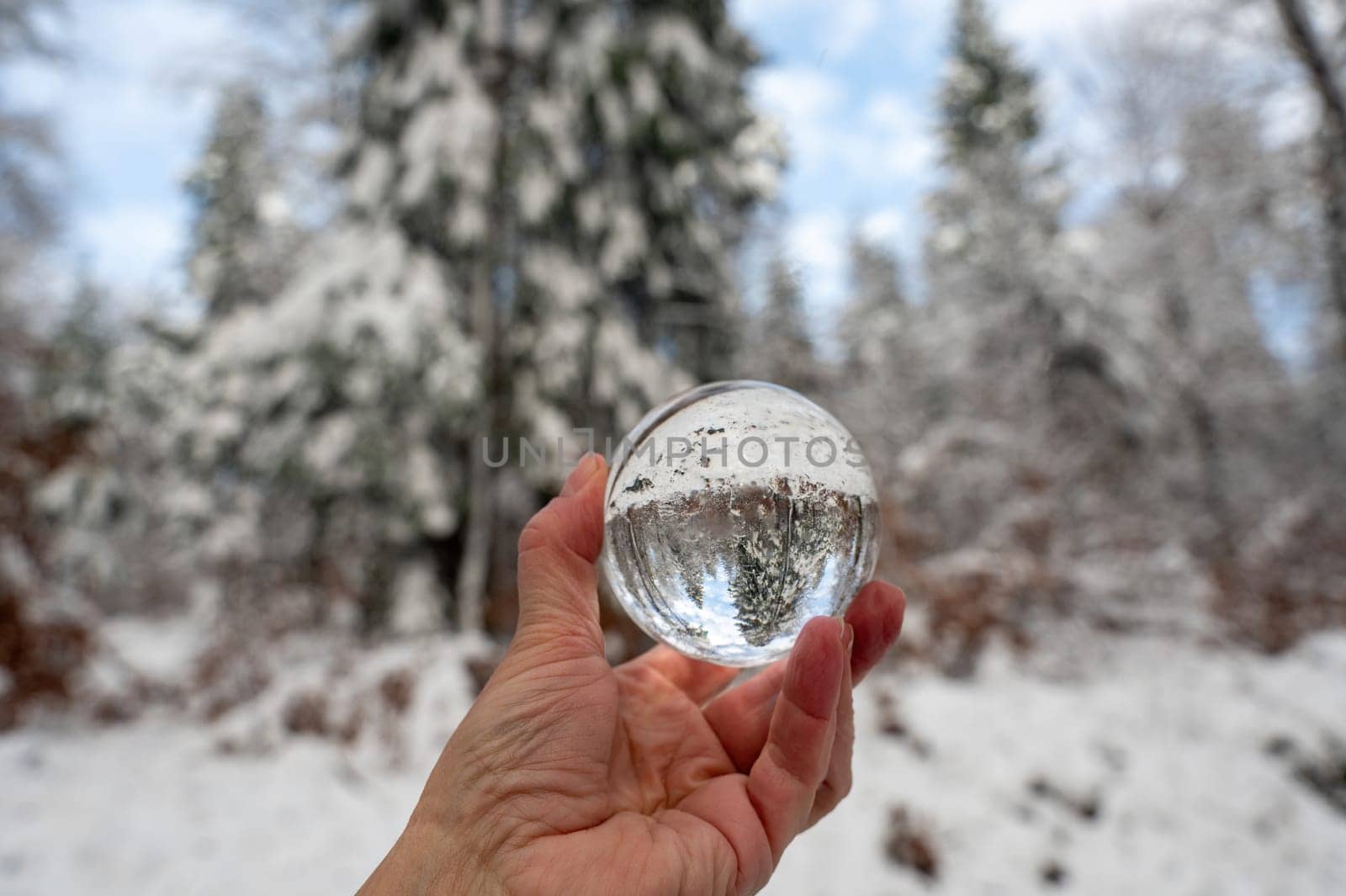 Human hand holding a glass ball, trees reflected in it on a cold winter day with lots of snow