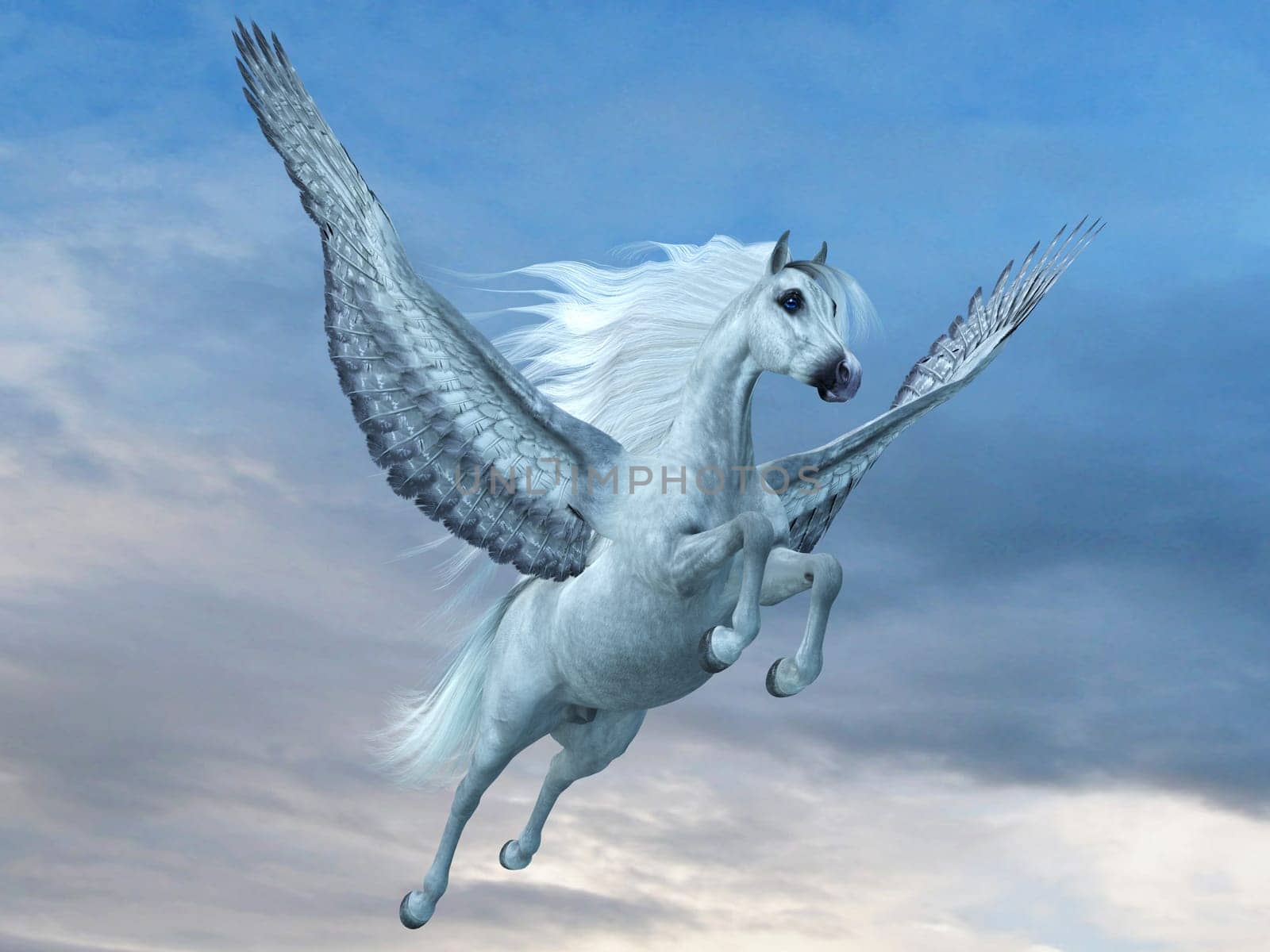 A beautiful white Pegasus stallion, a legendary mythical horse with wings, takes off for the sky.
