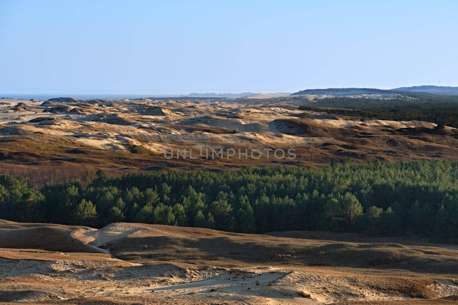Early spring nature of nordic dunes, Baltic sea and Curonian spit, Nida, Klaipeda, Lithuania at sunset