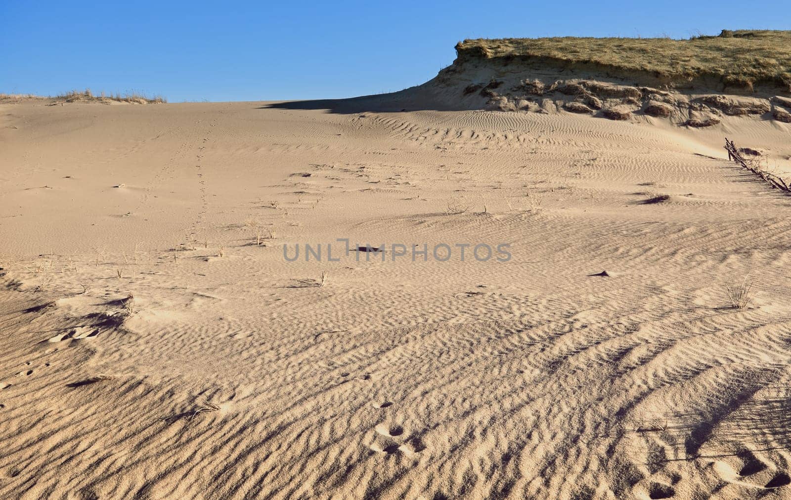Nordic dunes, Baltic sea, Curonian spit, Nida, Klaipeda, Lithuania at sunset. Lines, rhythm and patterns of shadows and hills
