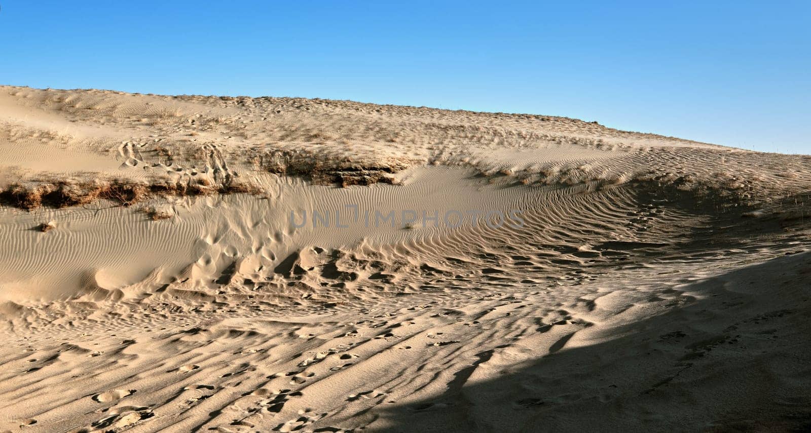 Nordic dunes, Baltic sea, Curonian spit, Nida, Klaipeda, Lithuania at sunset. Lines, rhythm and patterns of shadows and hills