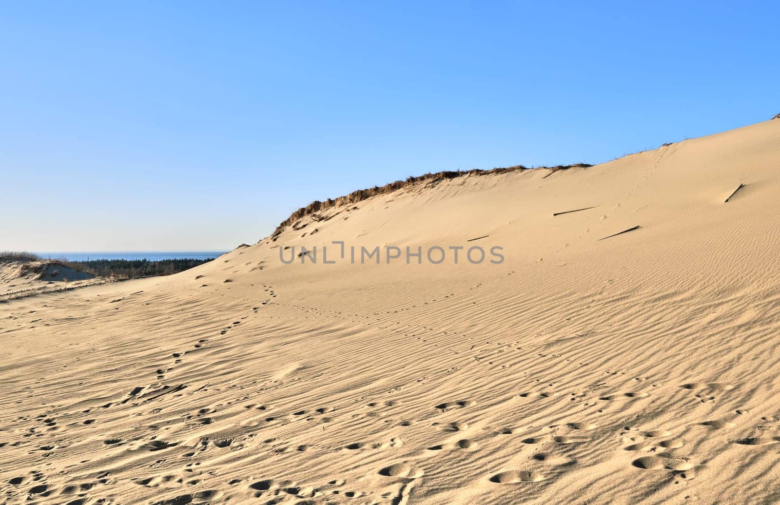 Nordic sand dunes, Baltic sea, Curonian spit, Nida, Klaipeda, Lithuania at sunset. Lines, rhythm and patterns of shadows and hills