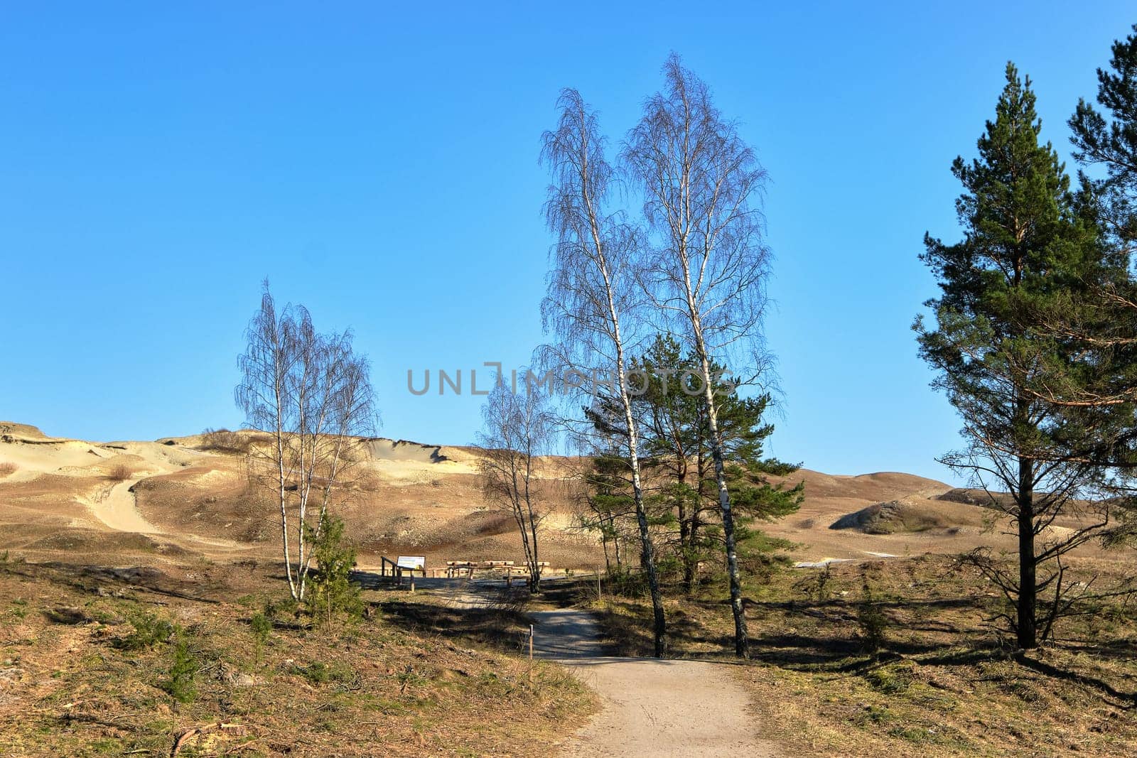 Early spring nature of nordic sand dunes, forests and footpath, Baltic sea and Curonian spit, Nida, Klaipeda, Lithuania at sunset