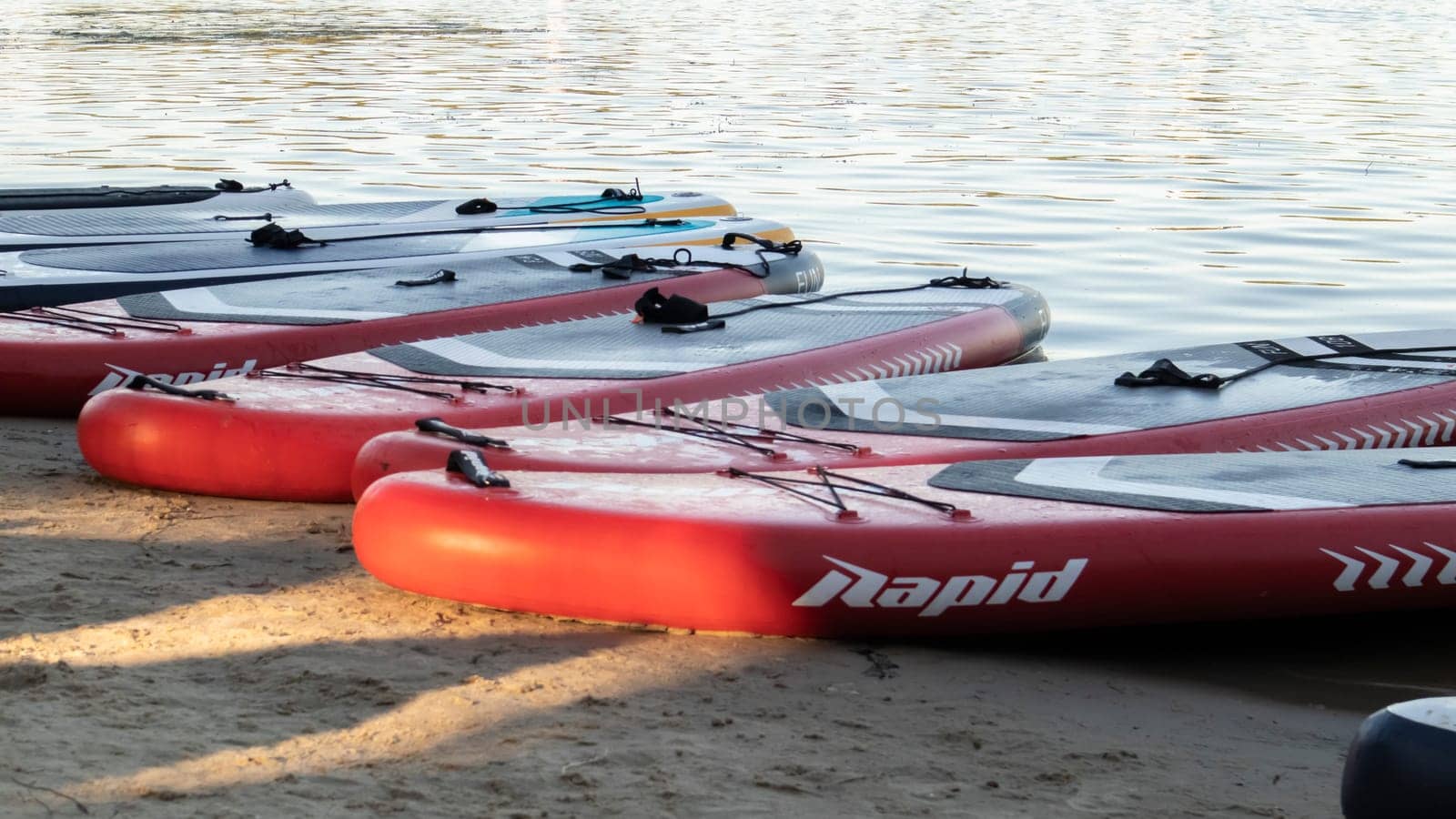 Empty SUP boards sway on the waves on a calm river or lake. Water sports. Lots of boards at the rental shop, the sun reflecting off the ripples of the water. Panning. Ukraine, Kyiv - August 07, 2022