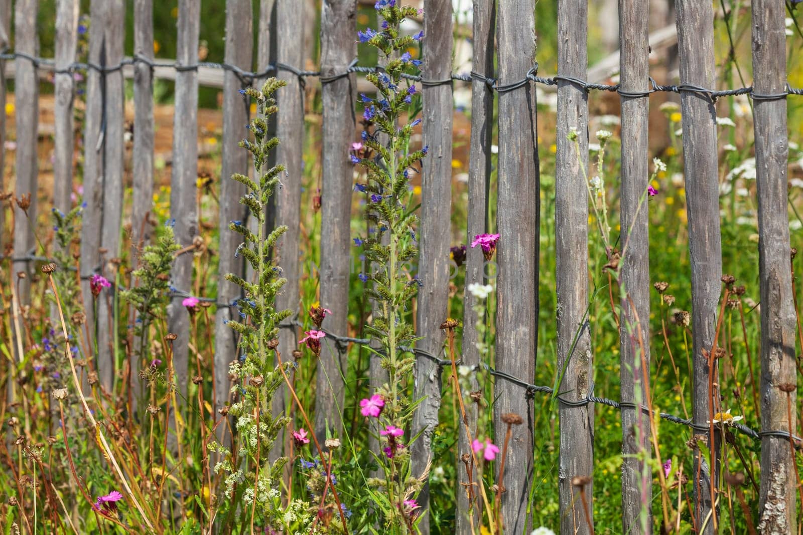 Old wooden garden fence with flower meadow, Germany
