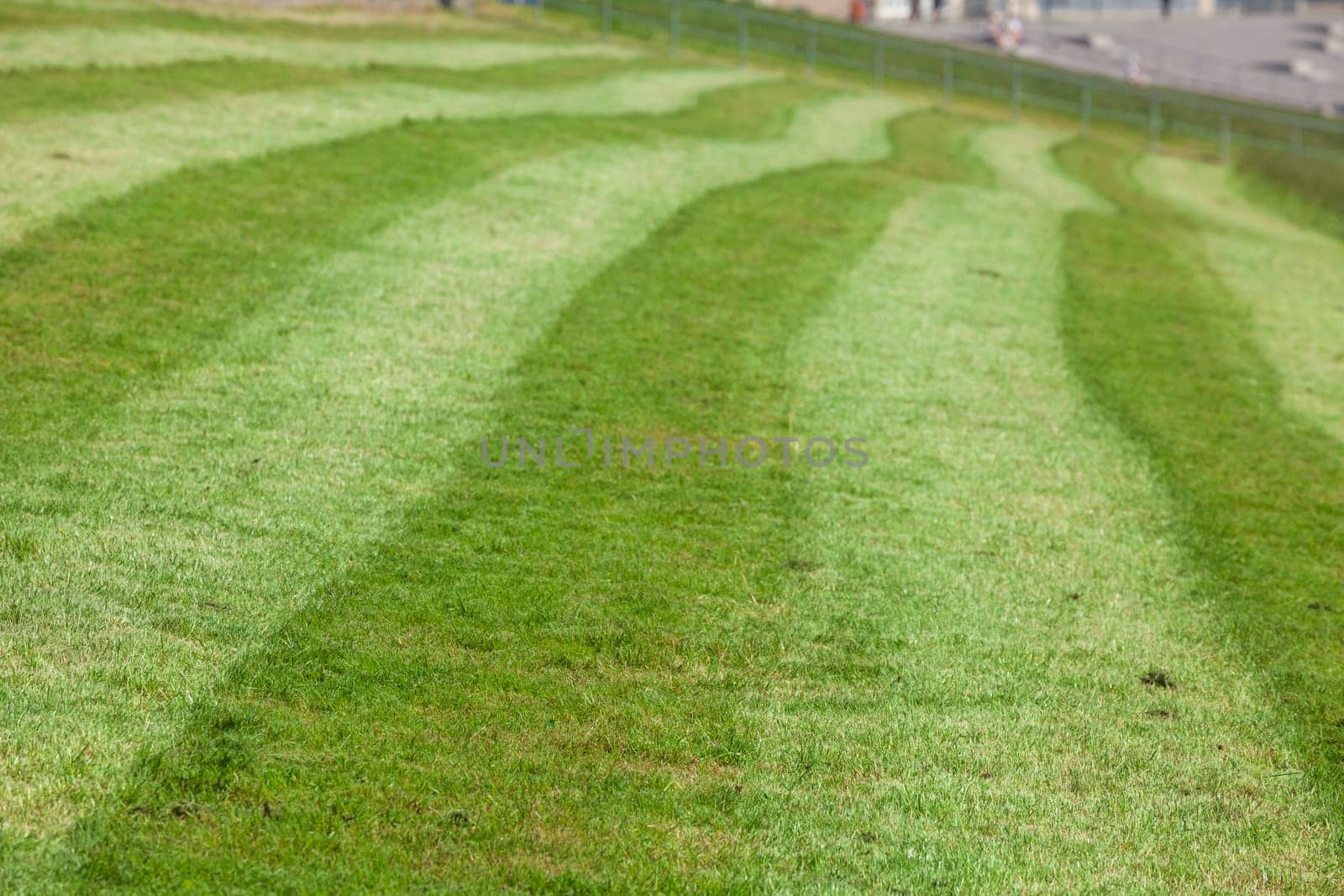 Freshly mowed lawn on a dike, Germany