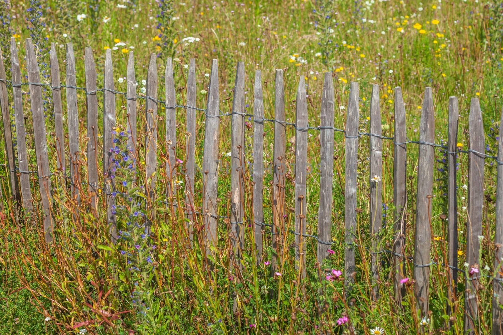 Old wooden garden fence with flower meadow, Germany