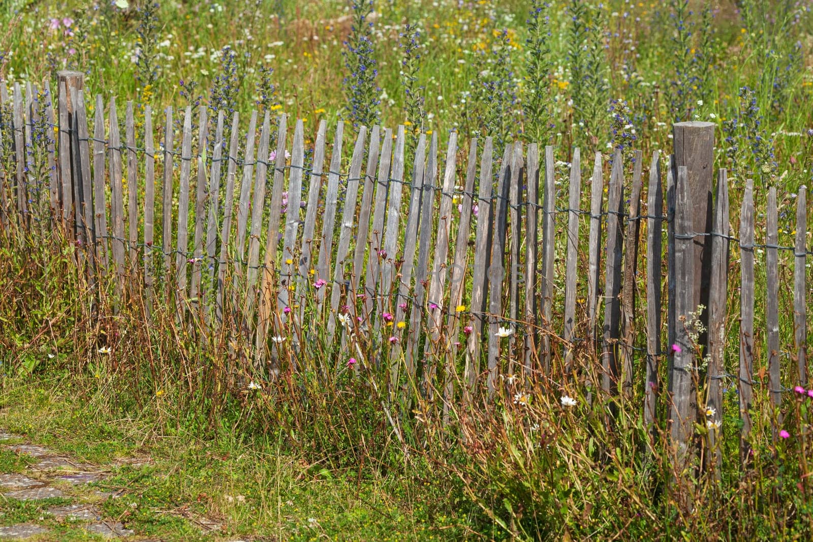 Old wooden garden fence with flower meadow, Germany