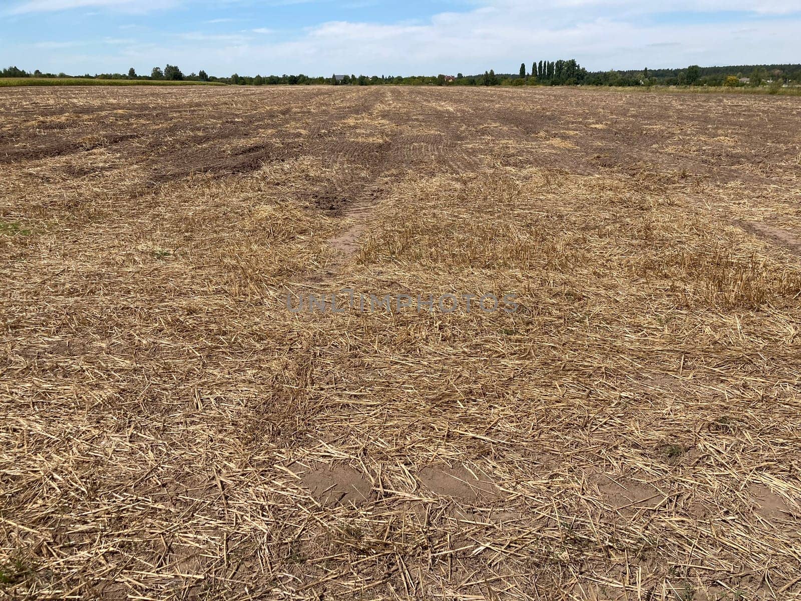 Panorama of a field the after harvest