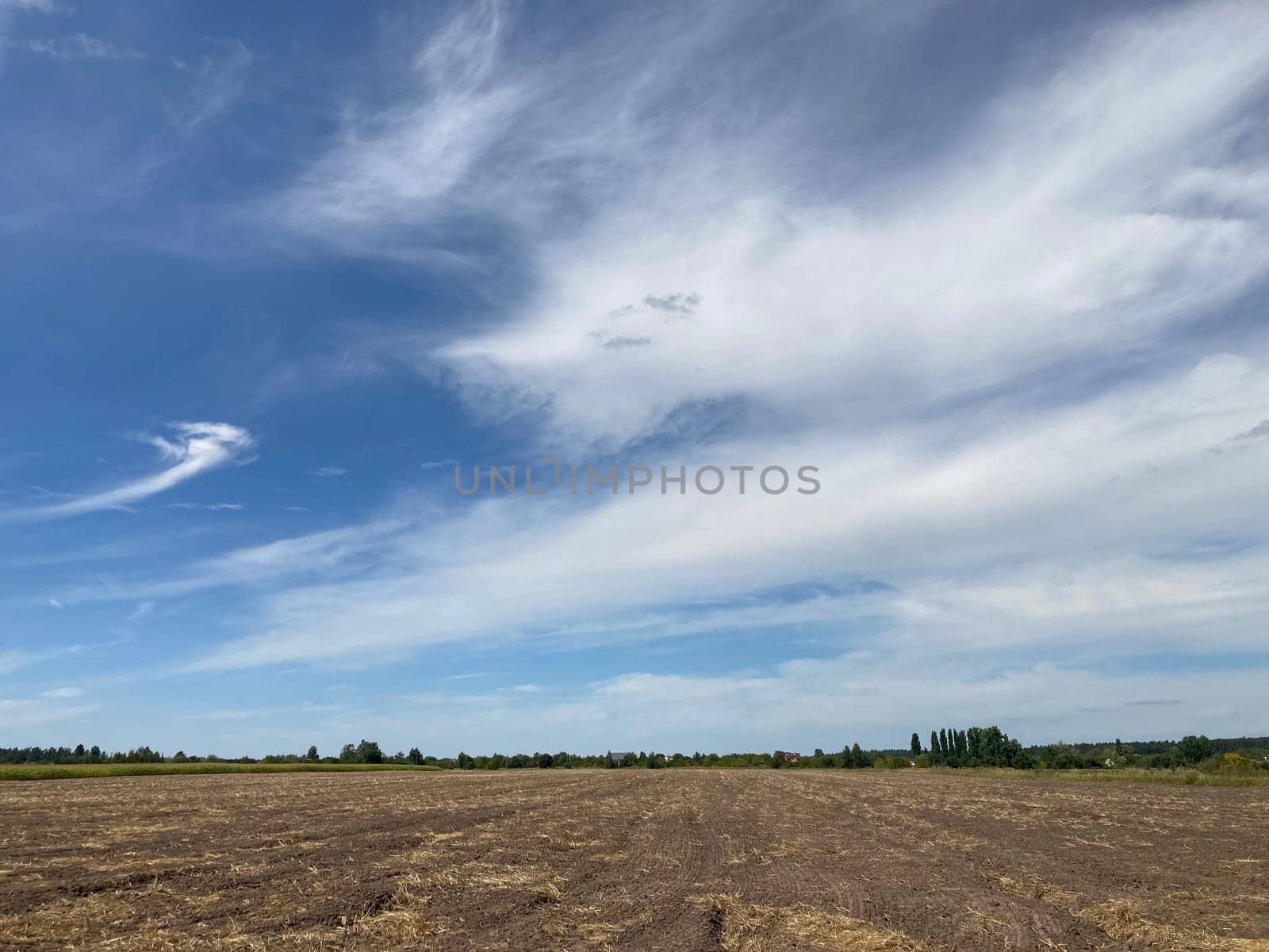 Panorama of a field the after harvest