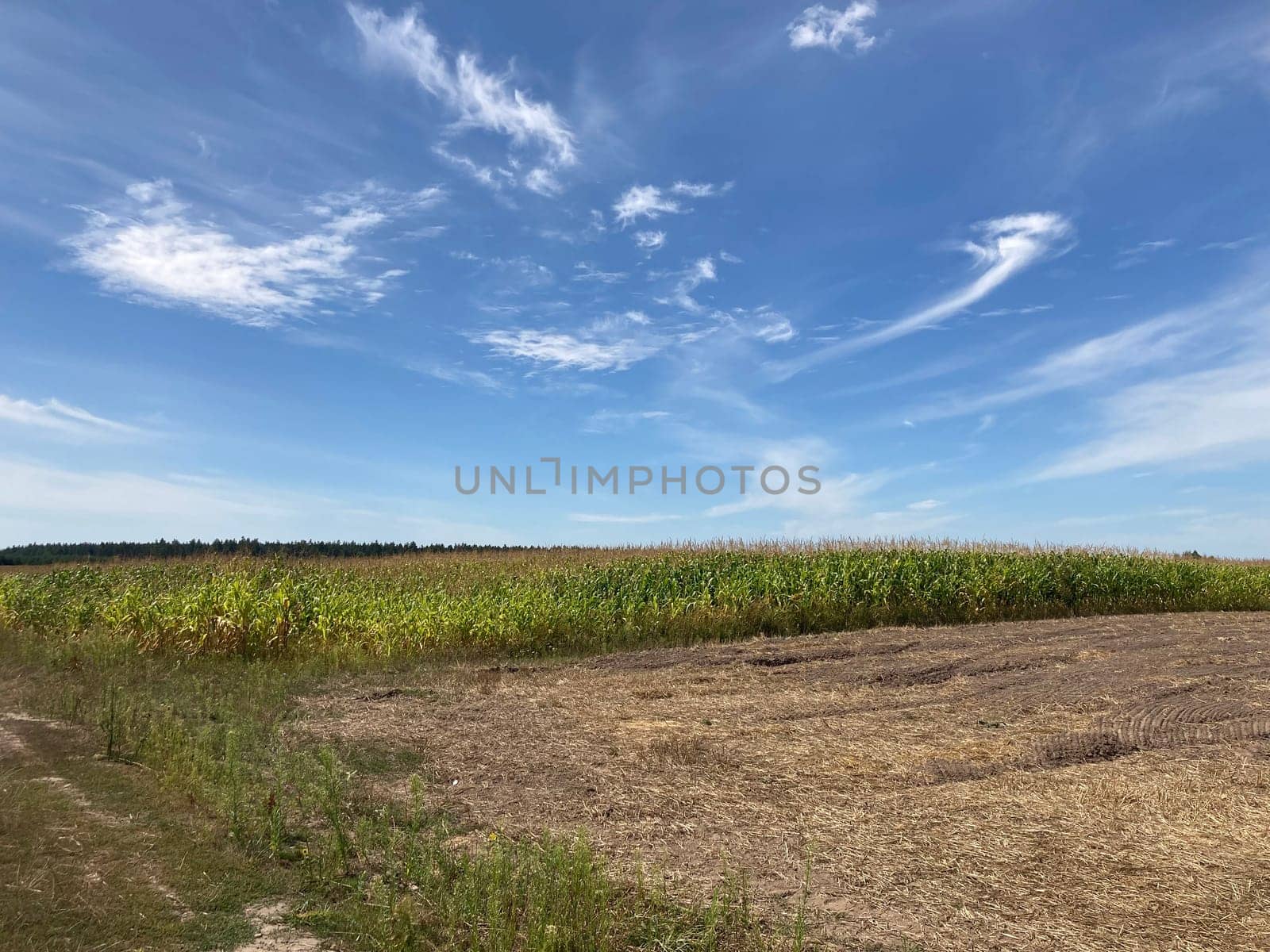 Panorama of a field the after harvest